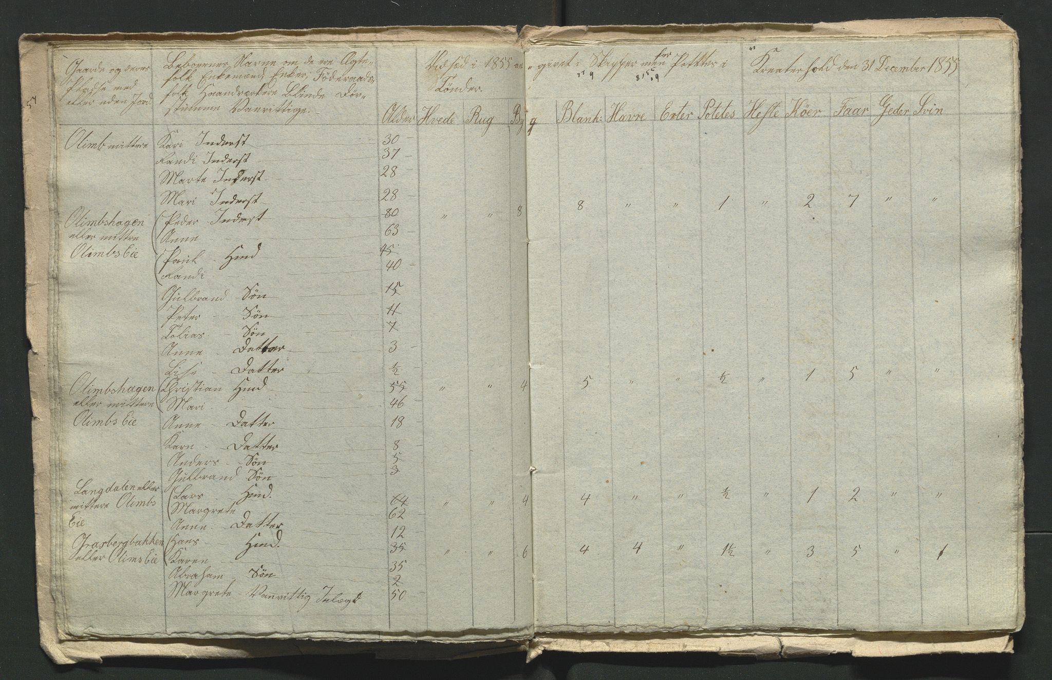 SAH, 1855 Census for Jevnaker parish, 1855, p. 6