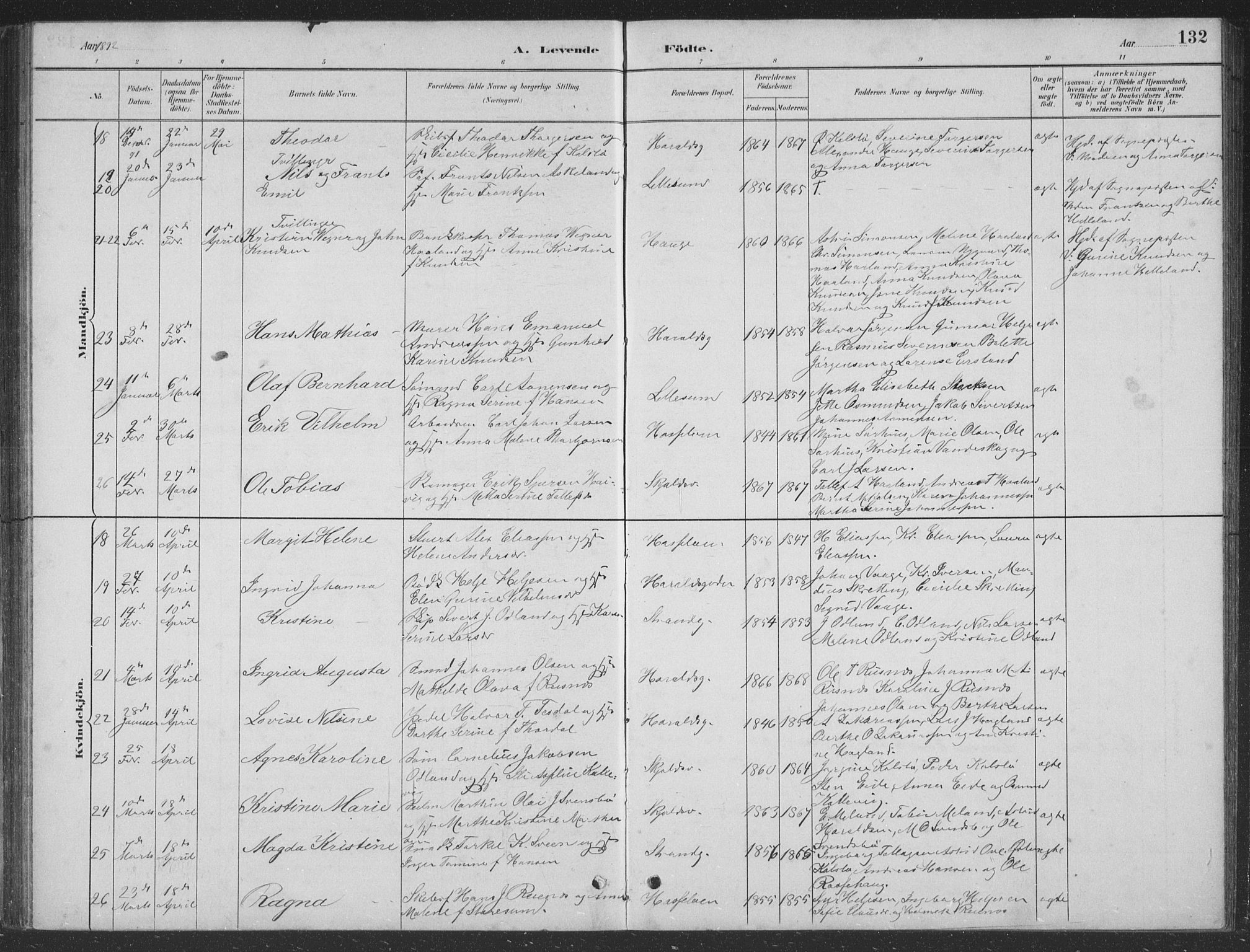 Haugesund sokneprestkontor, SAST/A -101863/H/Ha/Hab/L0002: Parish register (copy) no. B 2, 1881-1894, p. 132