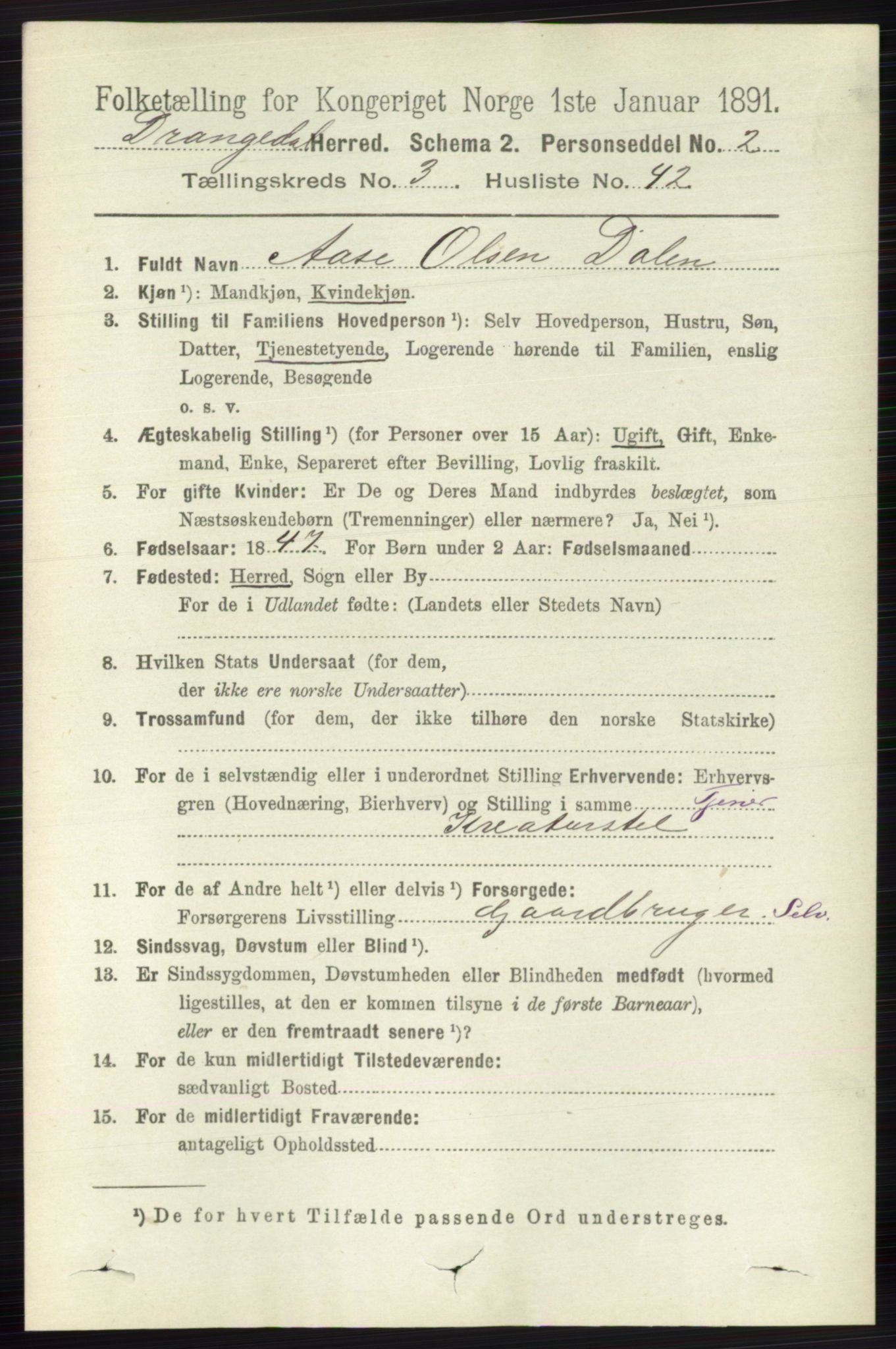 RA, 1891 census for 0817 Drangedal, 1891, p. 1126