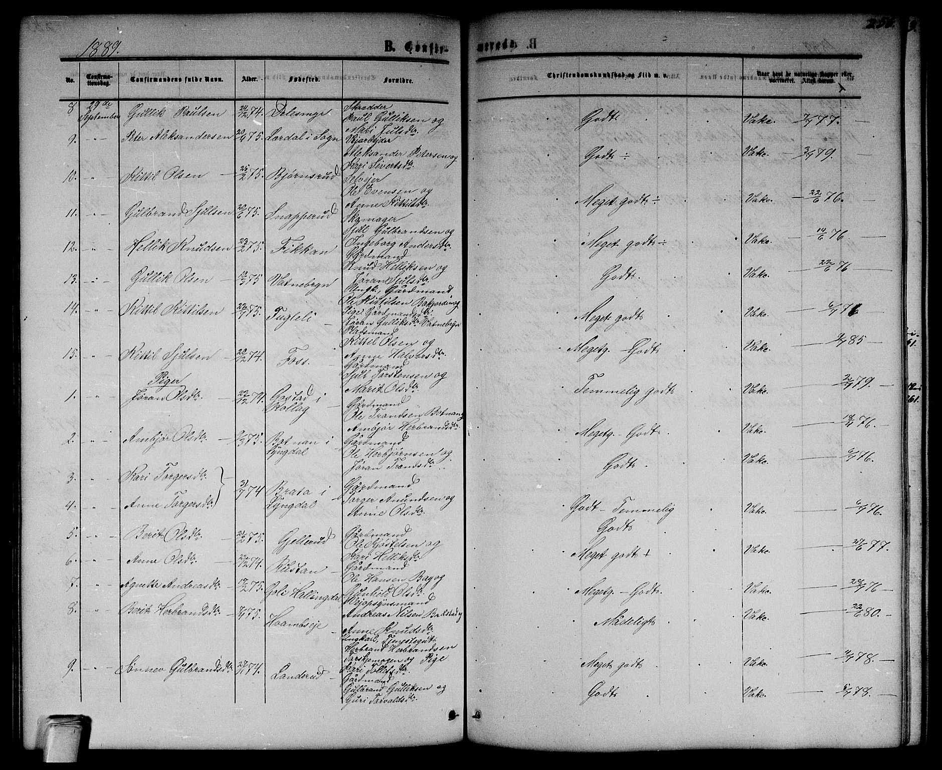 Flesberg kirkebøker, SAKO/A-18/G/Ga/L0003: Parish register (copy) no. I 3, 1861-1889, p. 256