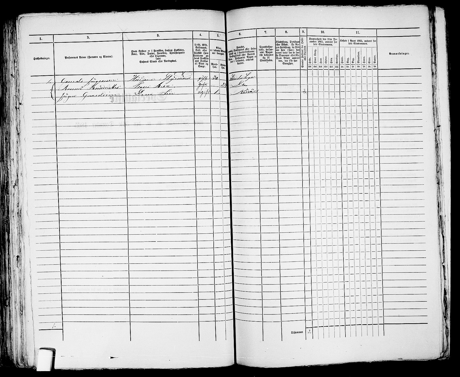 RA, 1865 census for Risør/Risør, 1865, p. 492