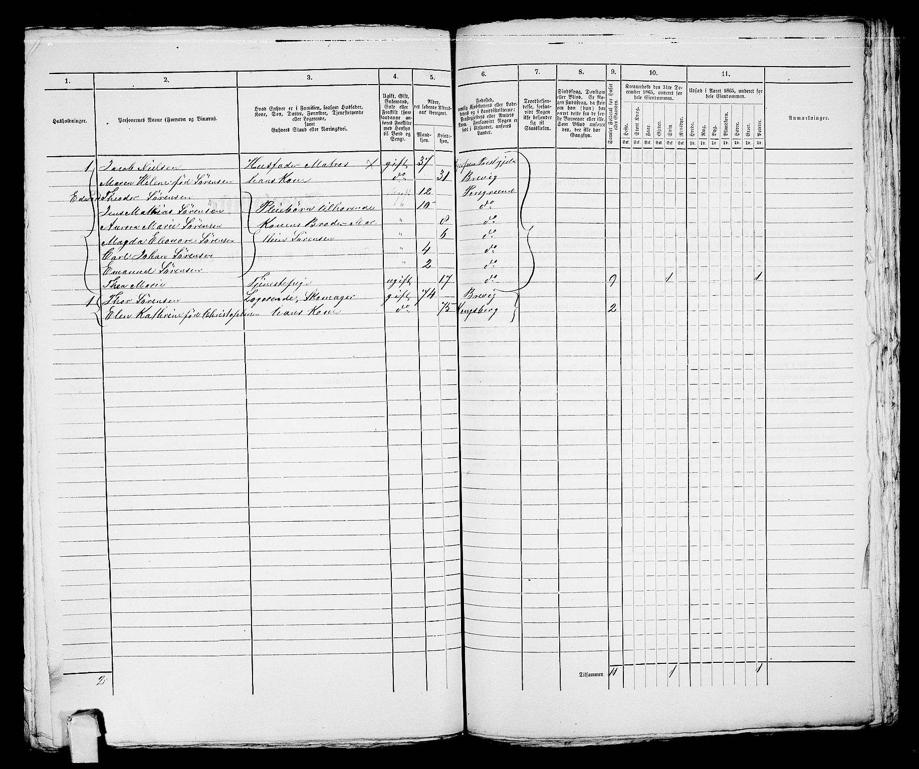 RA, 1865 census for Porsgrunn, 1865, p. 787