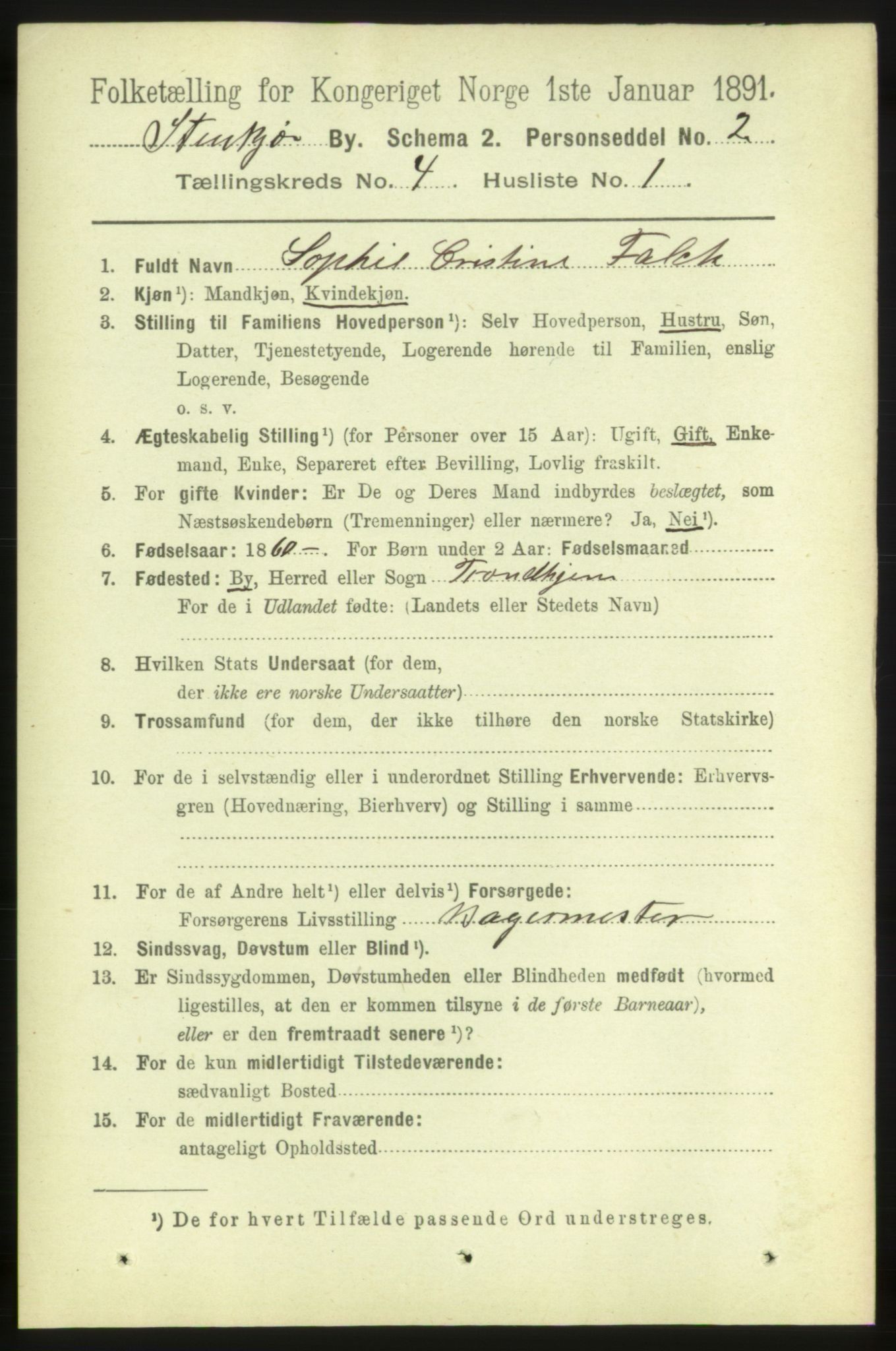 RA, 1891 census for 1702 Steinkjer, 1891, p. 1265