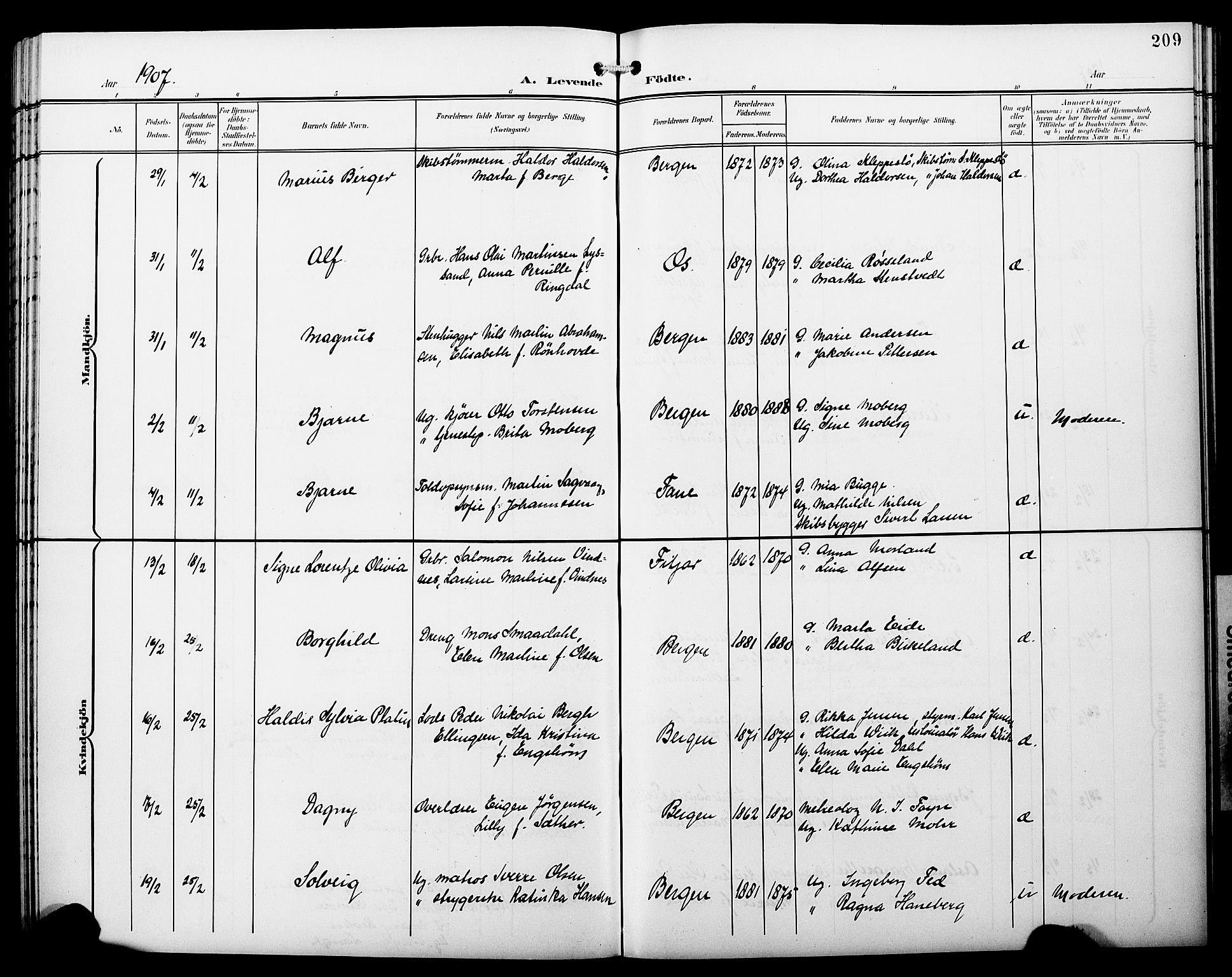 Fødselsstiftelsens sokneprestembete*, SAB/-: Parish register (copy) no. A 1, 1900-1909, p. 209