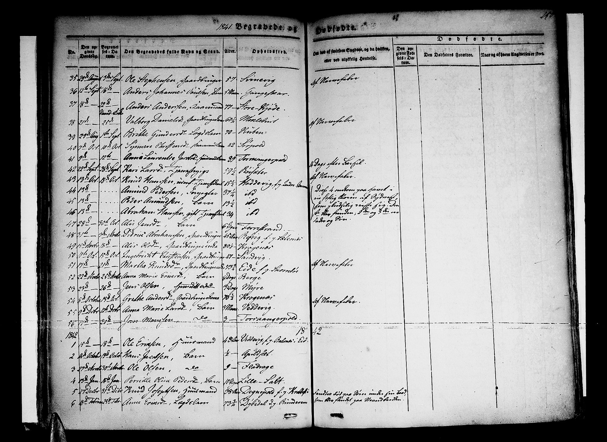 Selje sokneprestembete, SAB/A-99938/H/Ha/Haa/Haaa: Parish register (official) no. A 9, 1829-1844, p. 250