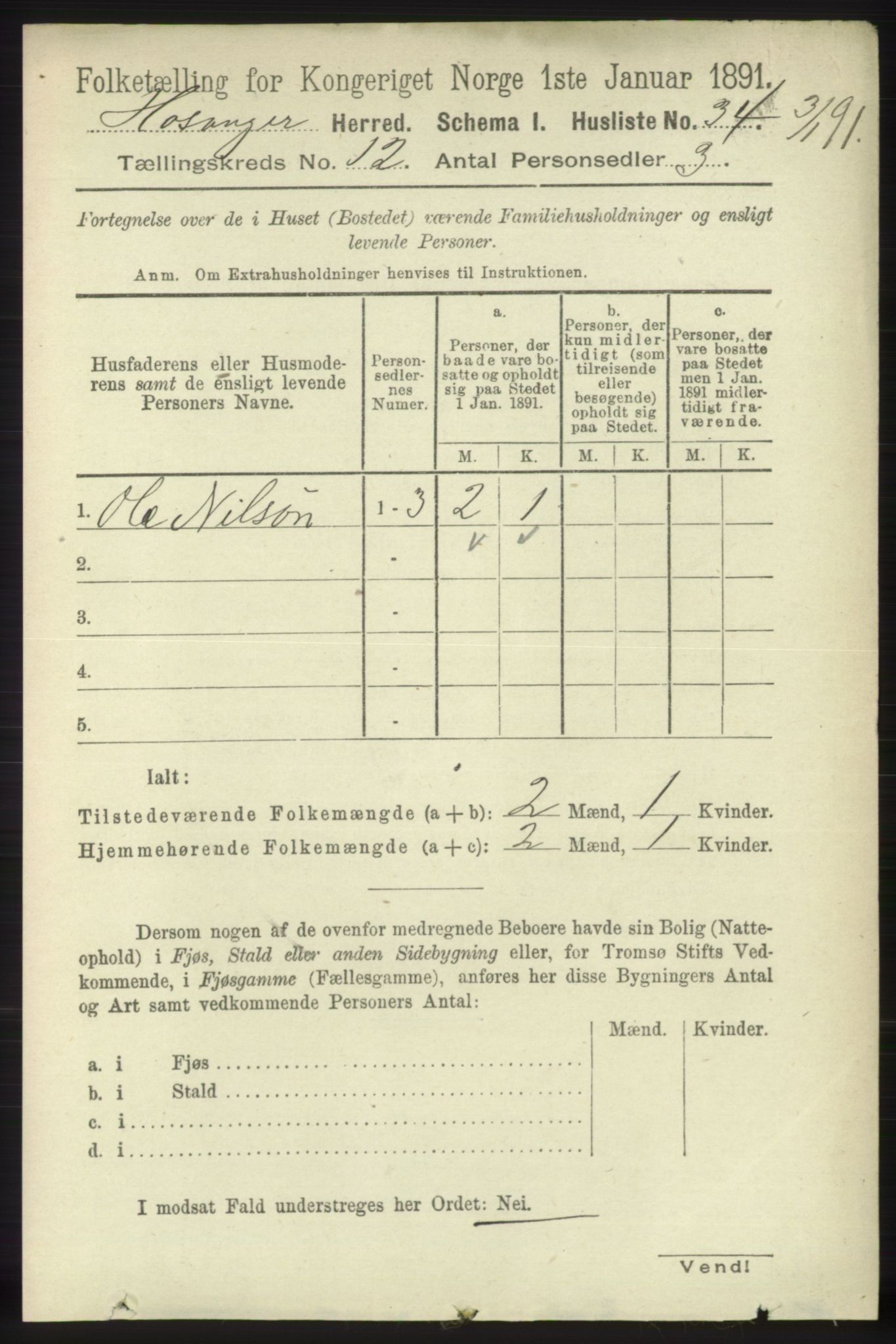 RA, 1891 census for 1253 Hosanger, 1891, p. 3996