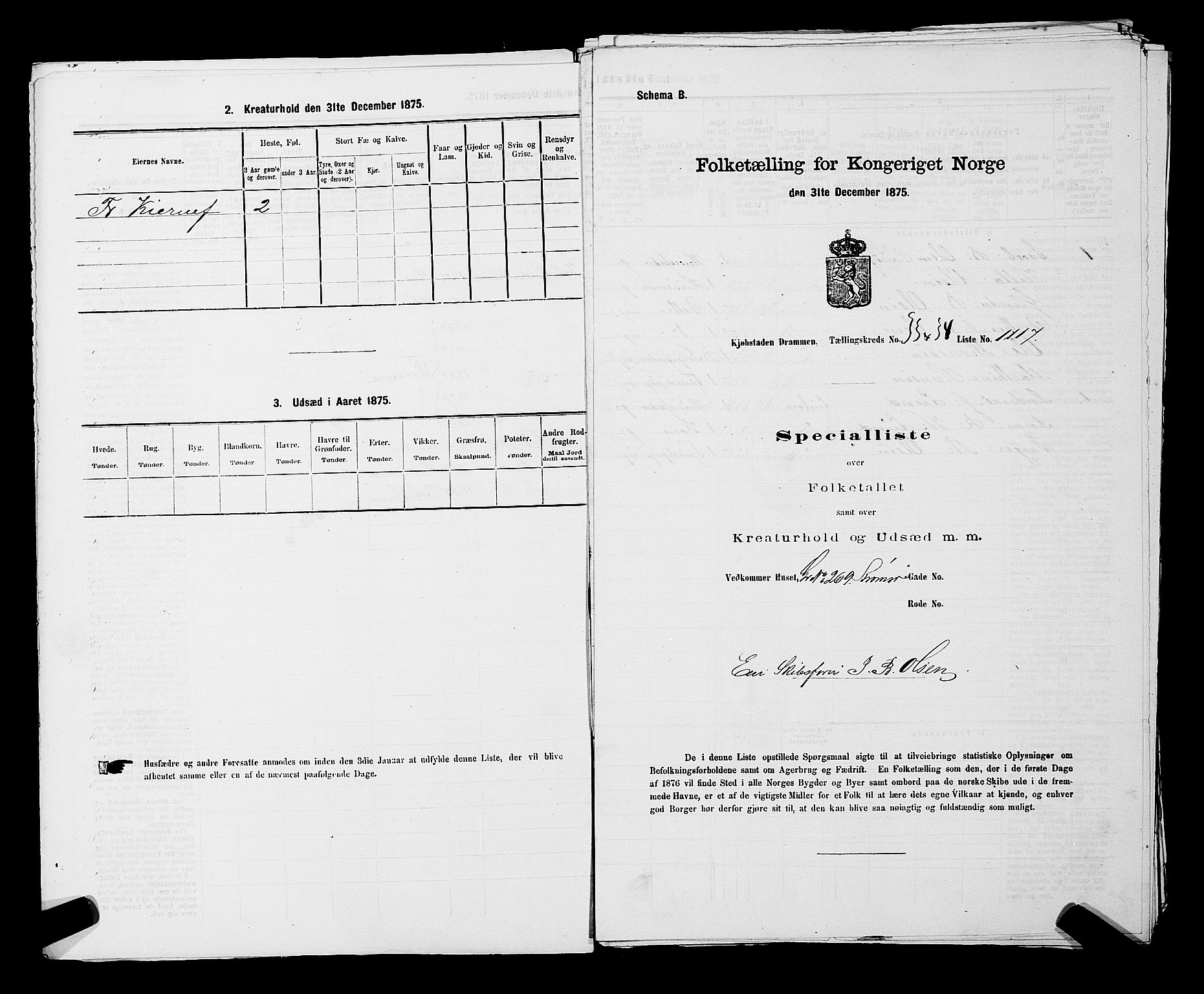 SAKO, 1875 census for 0602 Drammen, 1875, p. 2963