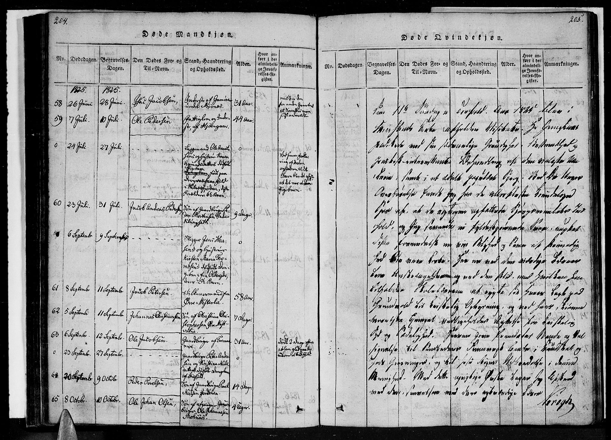 Ministerialprotokoller, klokkerbøker og fødselsregistre - Nordland, SAT/A-1459/852/L0736: Parish register (official) no. 852A06, 1820-1833, p. 204-205