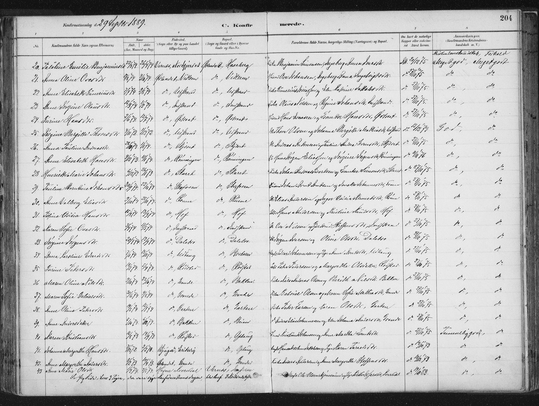 Ministerialprotokoller, klokkerbøker og fødselsregistre - Sør-Trøndelag, SAT/A-1456/659/L0739: Parish register (official) no. 659A09, 1879-1893, p. 204