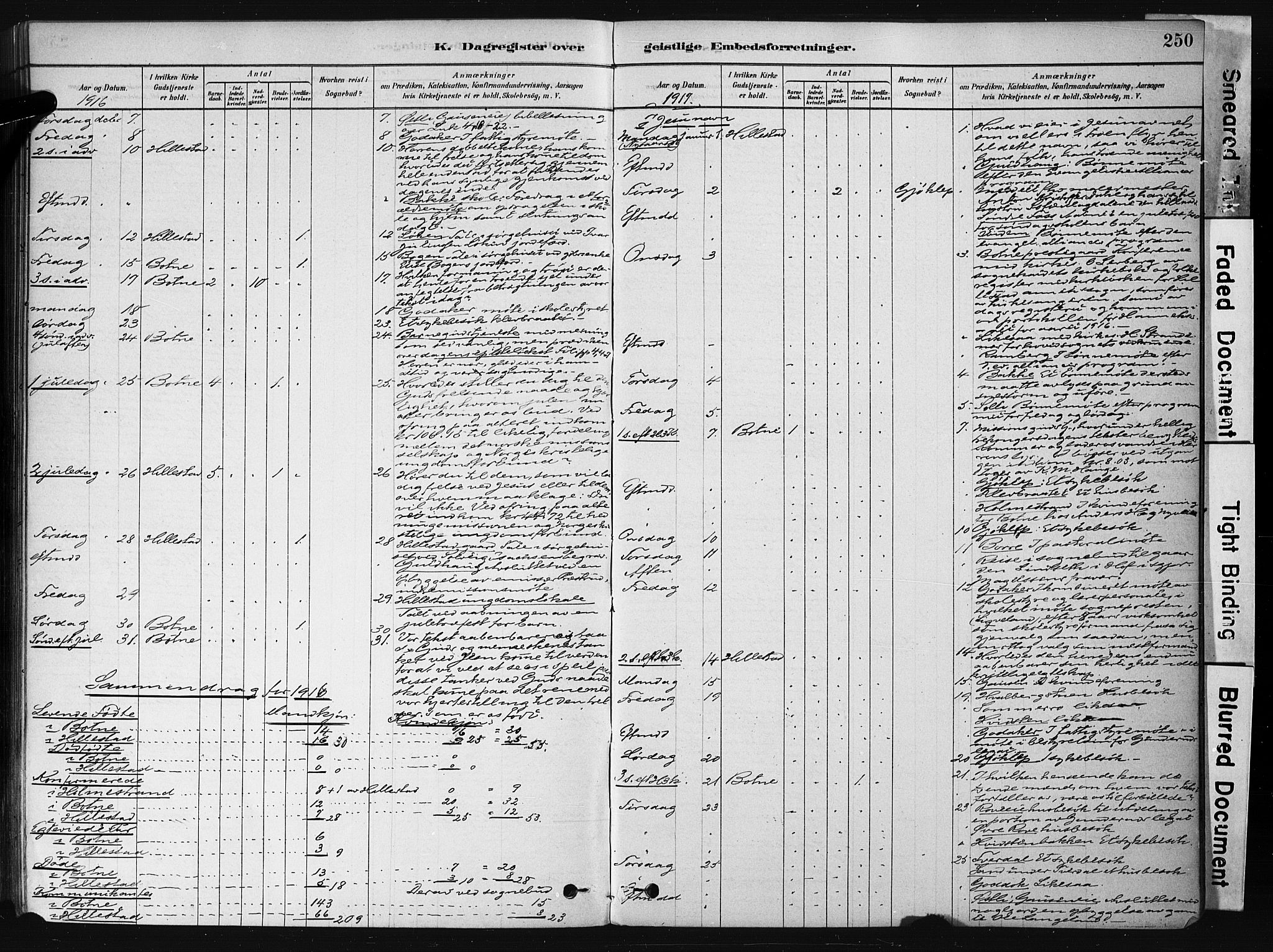 Botne kirkebøker, AV/SAKO-A-340/F/Fb/L0001: Parish register (official) no. II 1, 1878-1902, p. 250