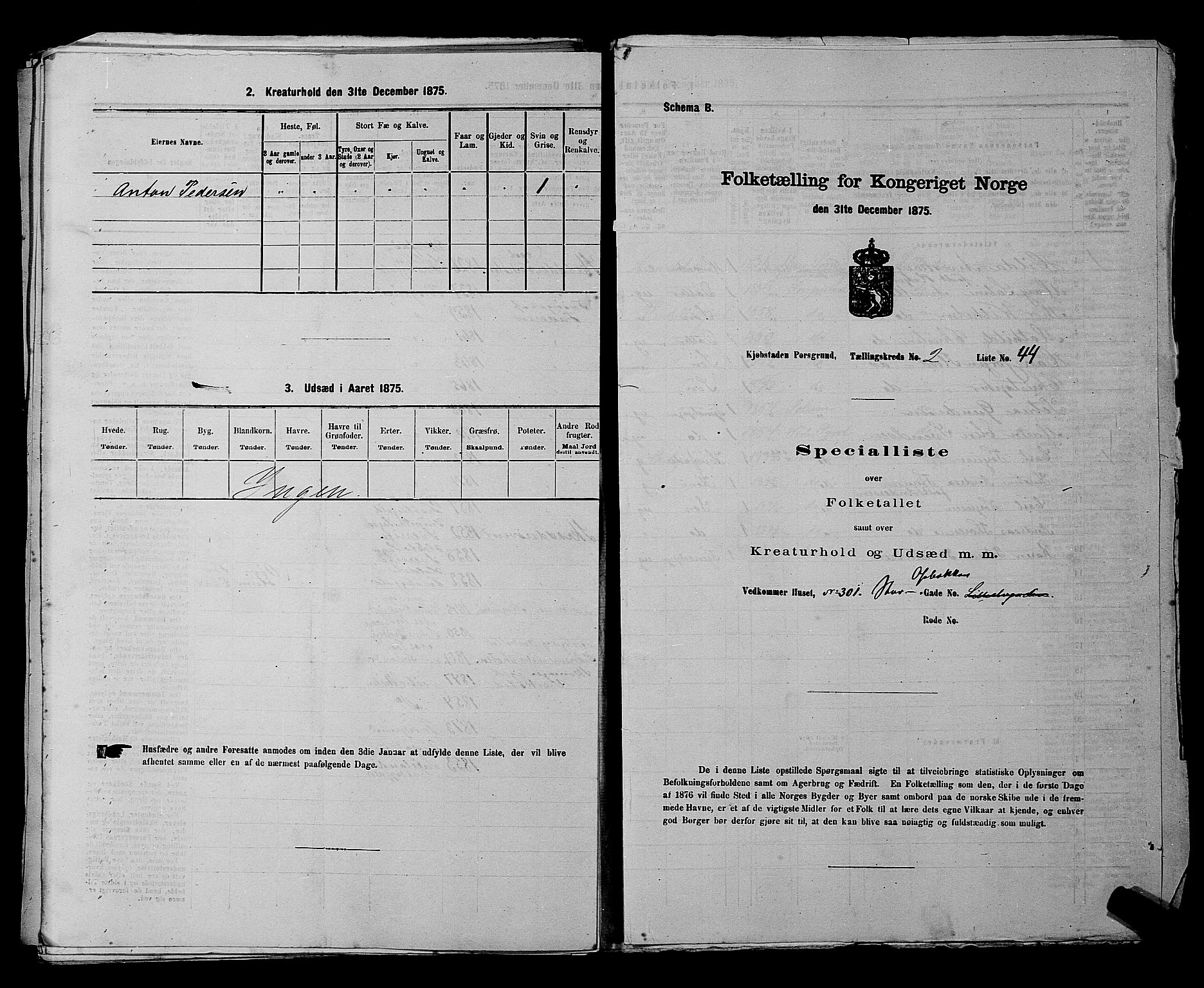 SAKO, 1875 census for 0805P Porsgrunn, 1875, p. 123