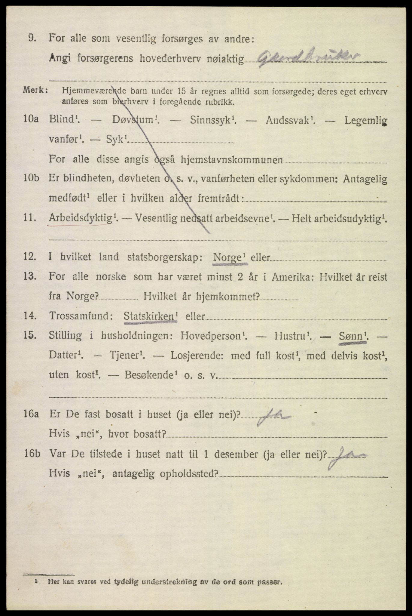 SAK, 1920 census for Åseral, 1920, p. 1215