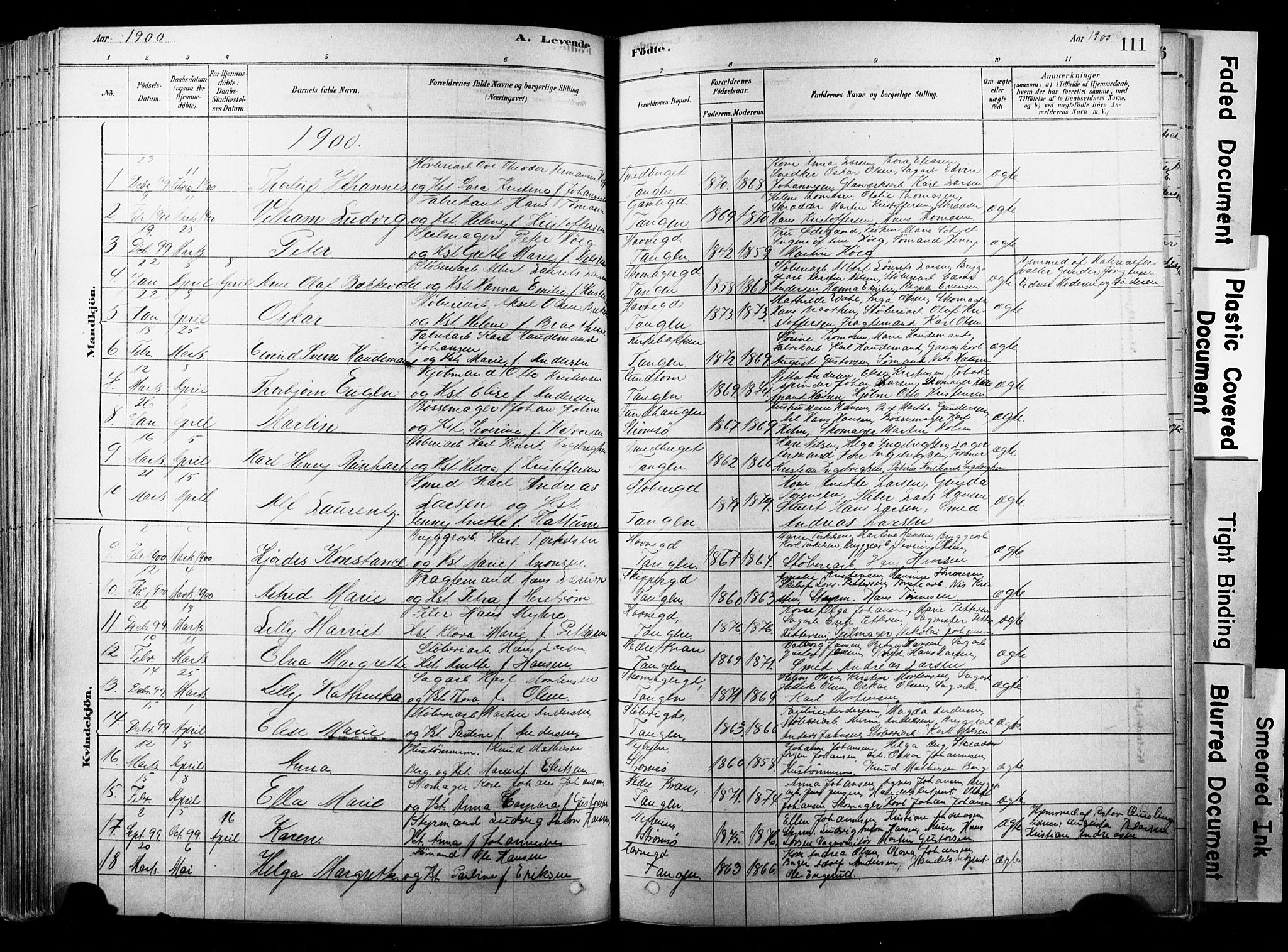 Strømsø kirkebøker, SAKO/A-246/F/Fb/L0006: Parish register (official) no. II 6, 1879-1910, p. 111