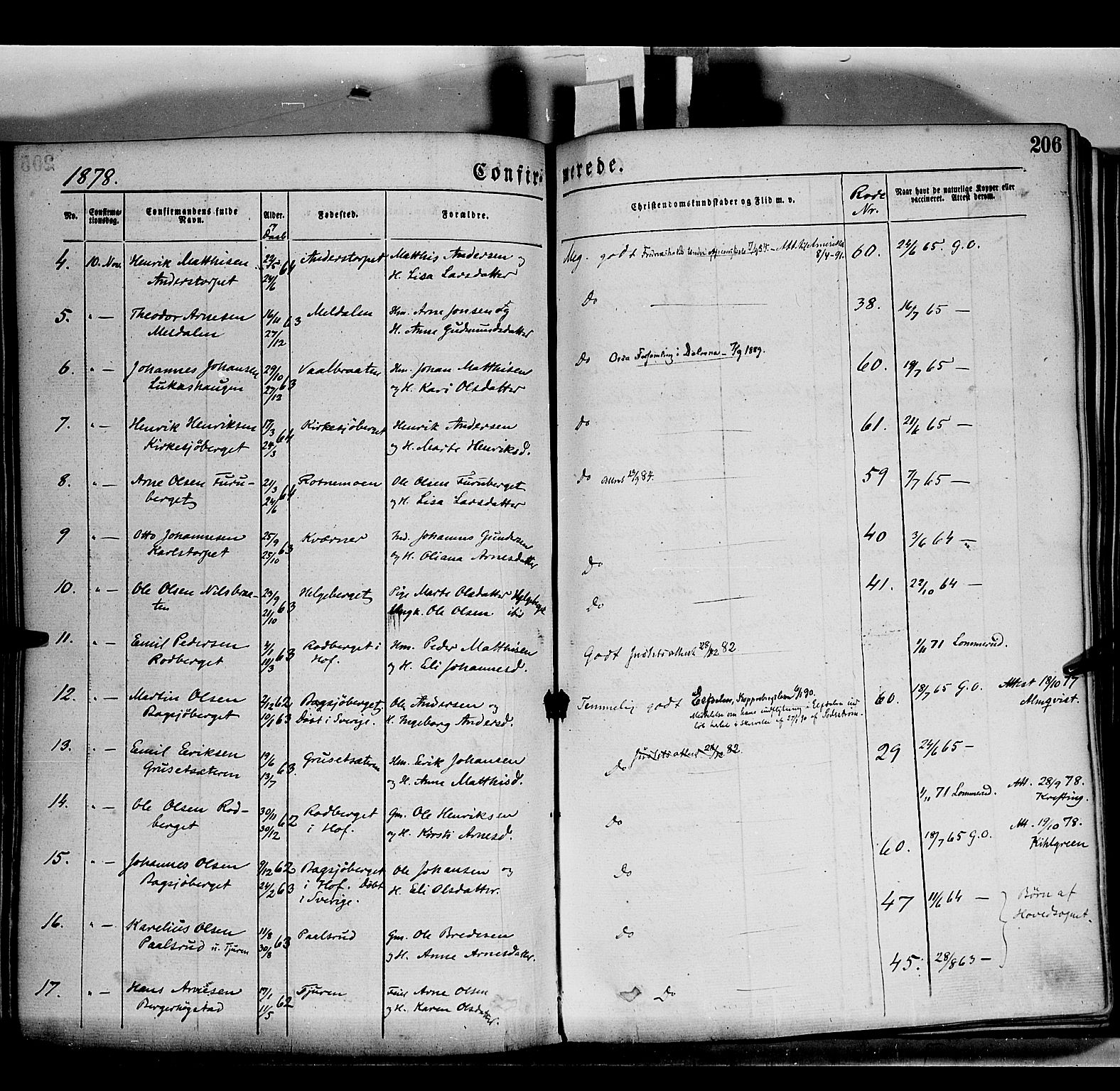 Grue prestekontor, AV/SAH-PREST-036/H/Ha/Haa/L0011: Parish register (official) no. 11, 1873-1880, p. 206