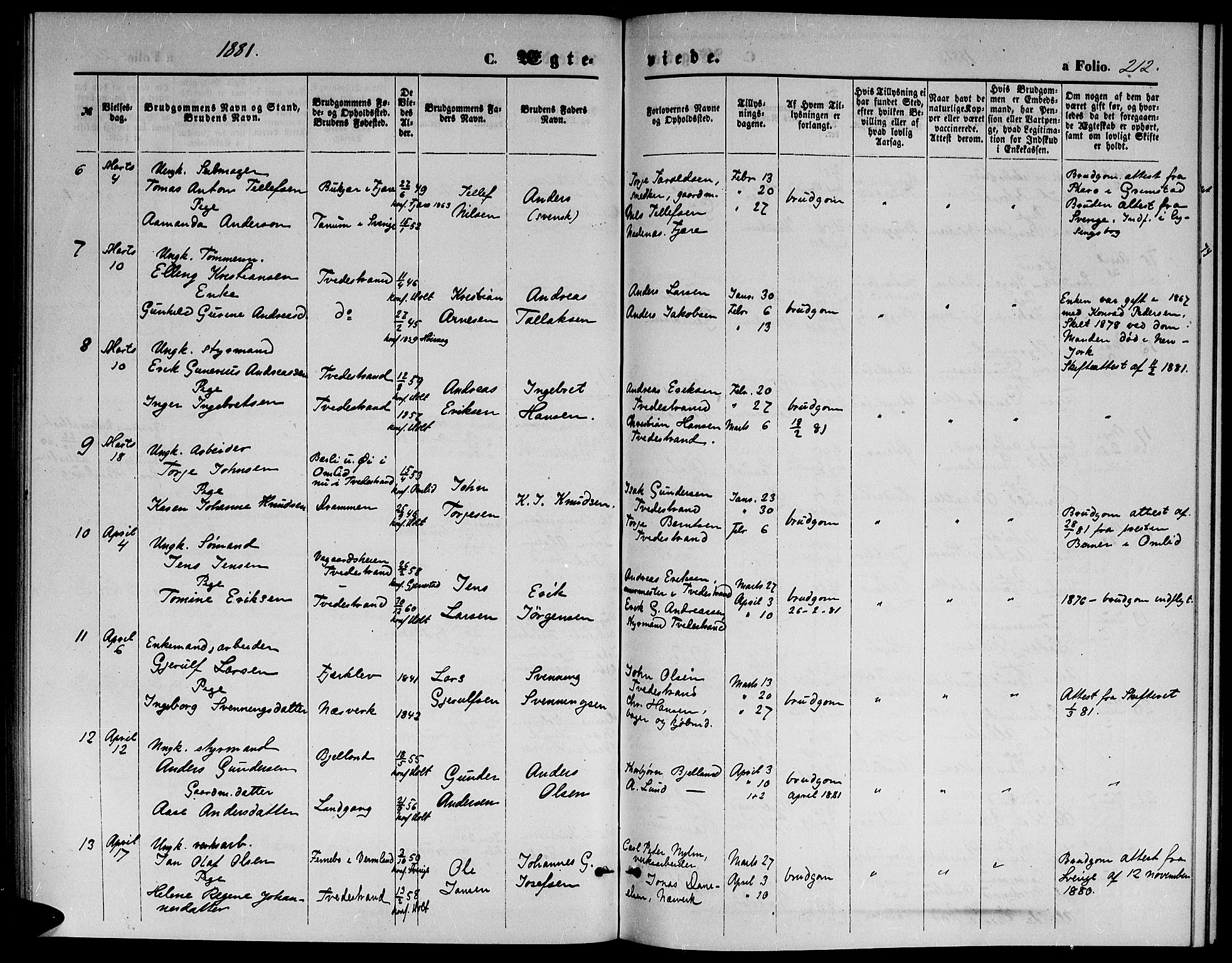 Holt sokneprestkontor, AV/SAK-1111-0021/F/Fb/L0009: Parish register (copy) no. B 9, 1871-1883, p. 212