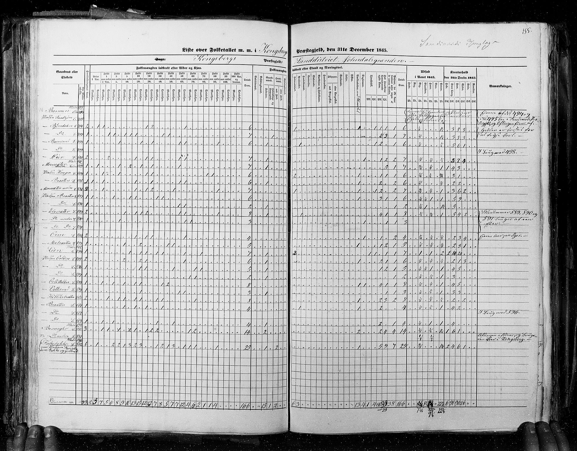 RA, Census 1845, vol. 4: Buskerud amt og Jarlsberg og Larvik amt, 1845, p. 155