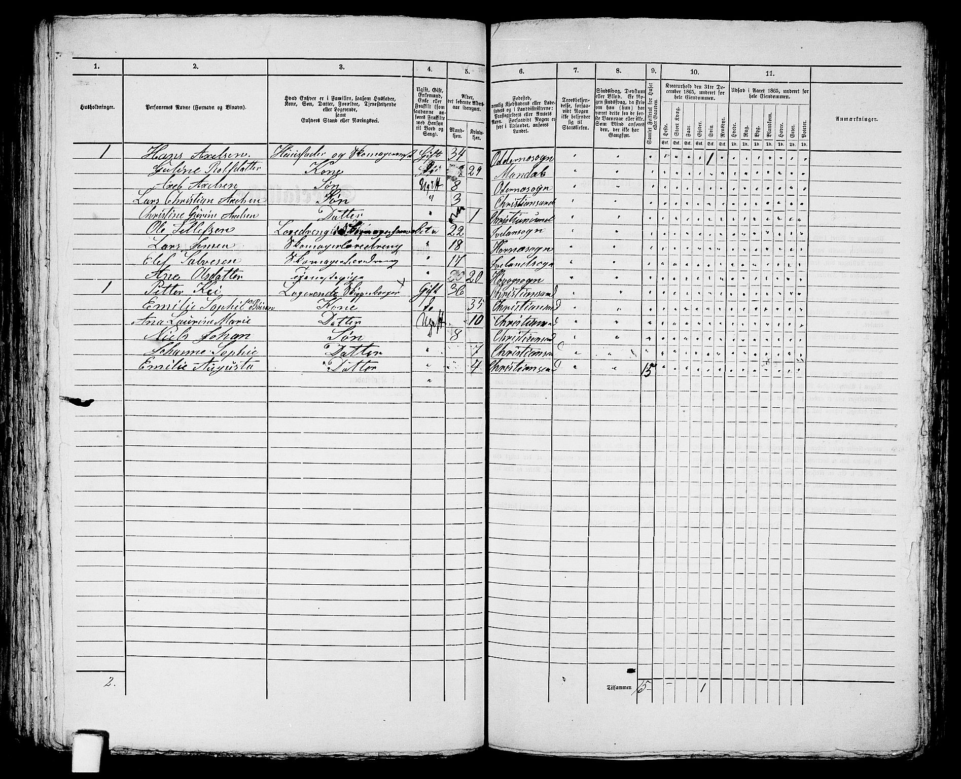 RA, 1865 census for Kristiansand, 1865, p. 1751