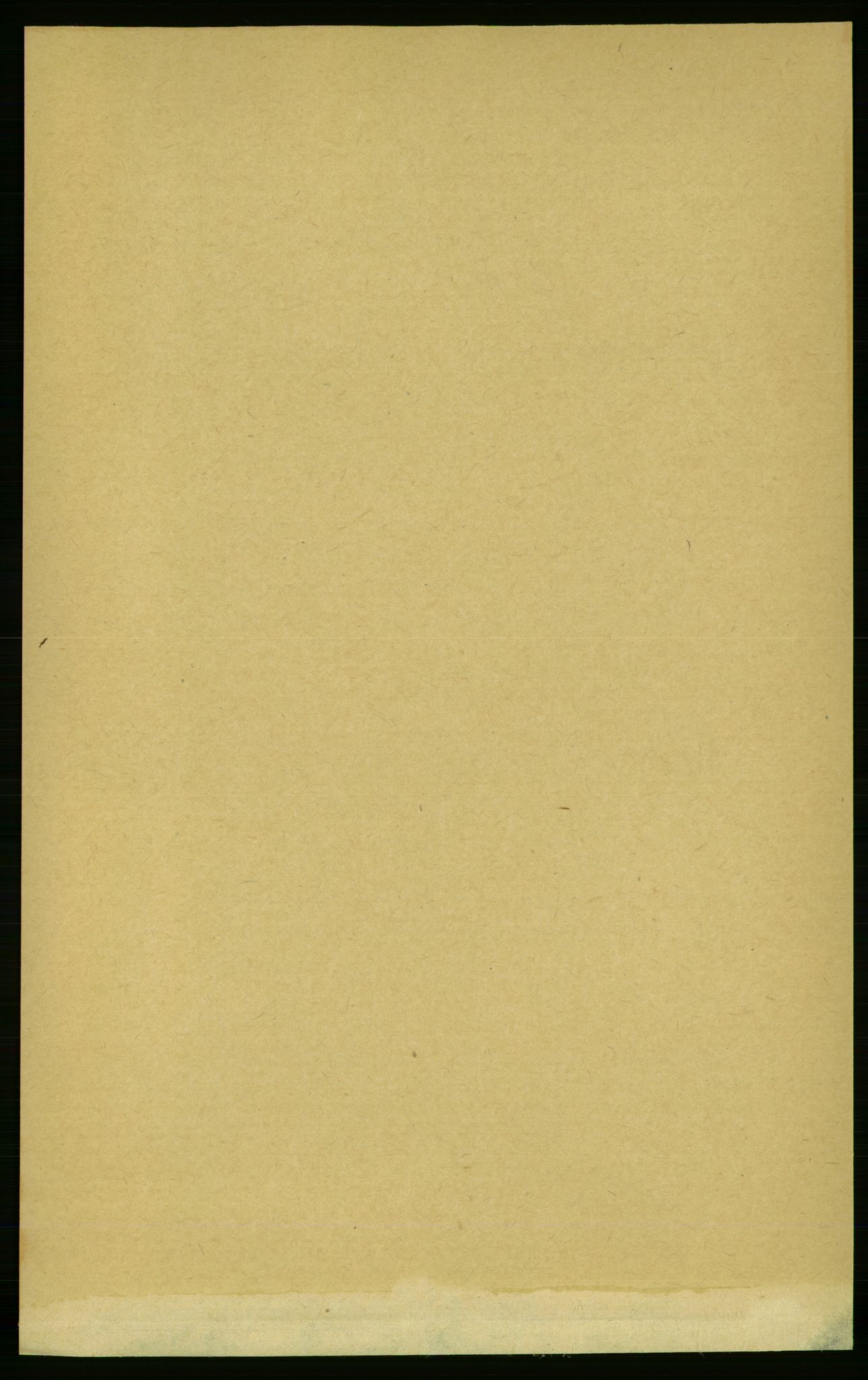 RA, 1891 census for 1752 Kolvereid, 1891, p. 41