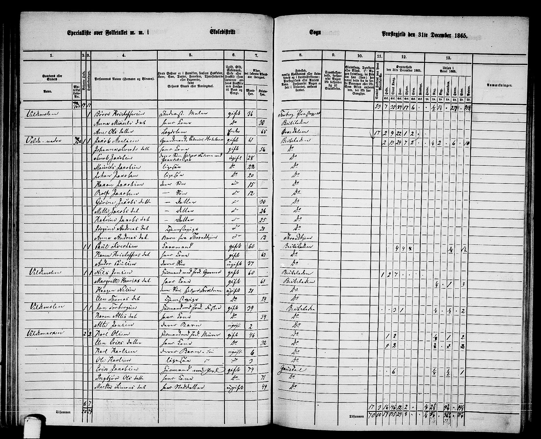 RA, 1865 census for Beitstad, 1865, p. 78