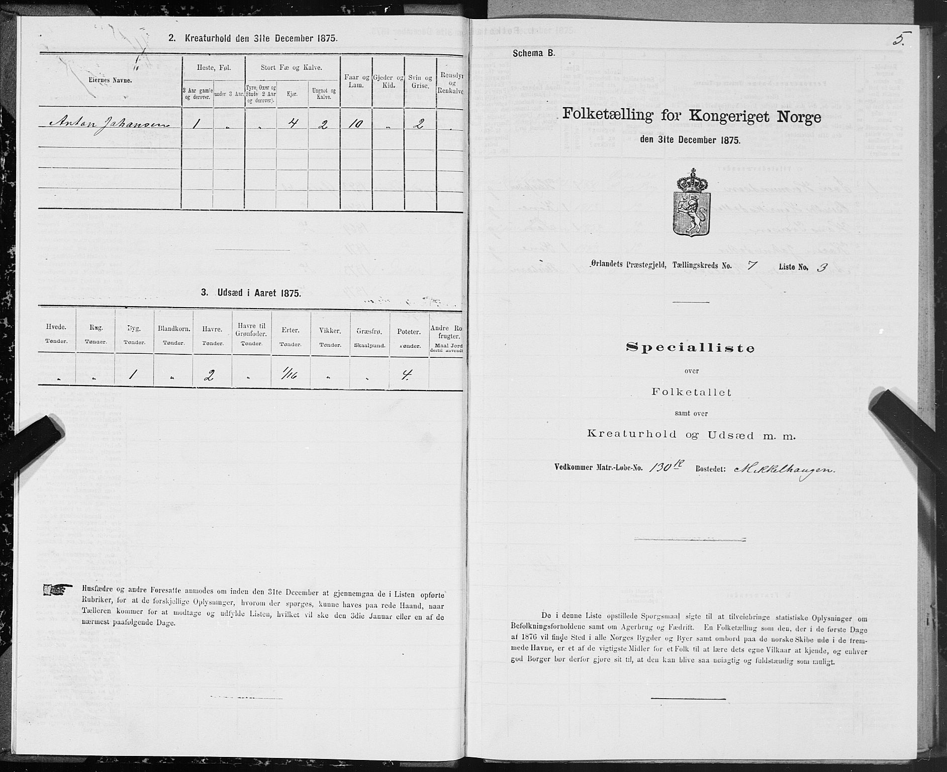 SAT, 1875 census for 1621P Ørland, 1875, p. 4005