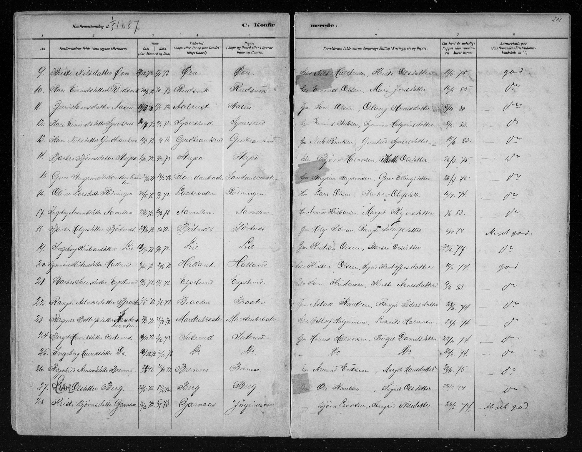 Nes kirkebøker, AV/SAKO-A-236/F/Fa/L0011: Parish register (official) no. 11, 1881-1912, p. 201