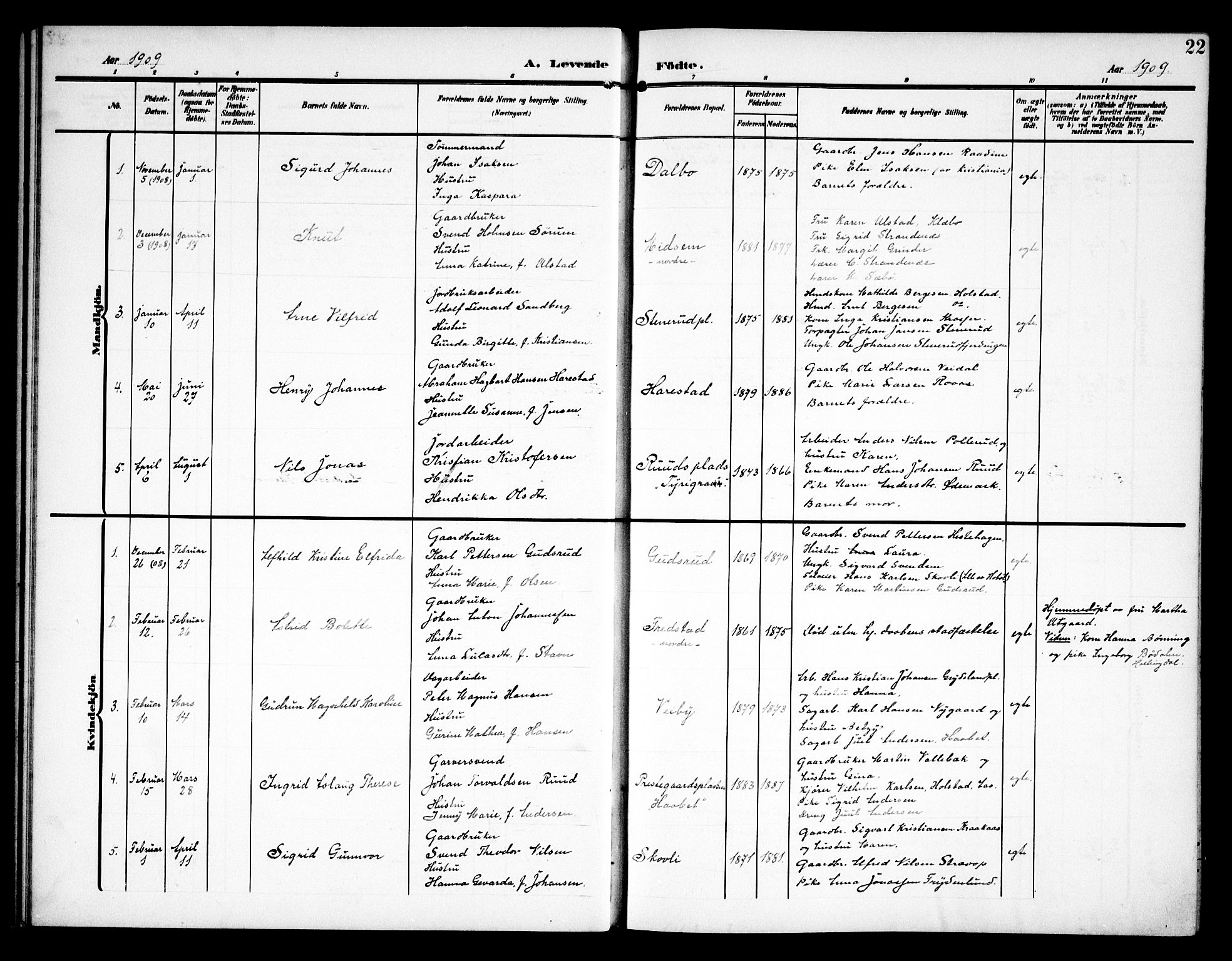 Kråkstad prestekontor Kirkebøker, AV/SAO-A-10125a/G/Ga/L0002: Parish register (copy) no. I 2, 1905-1934, p. 22