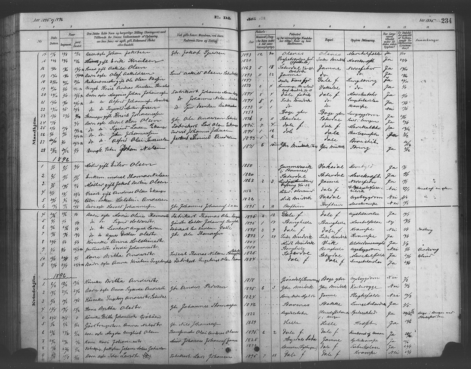 Bruvik Sokneprestembete, SAB/A-74701/H/Hab: Parish register (copy) no. A 1, 1878-1907, p. 234