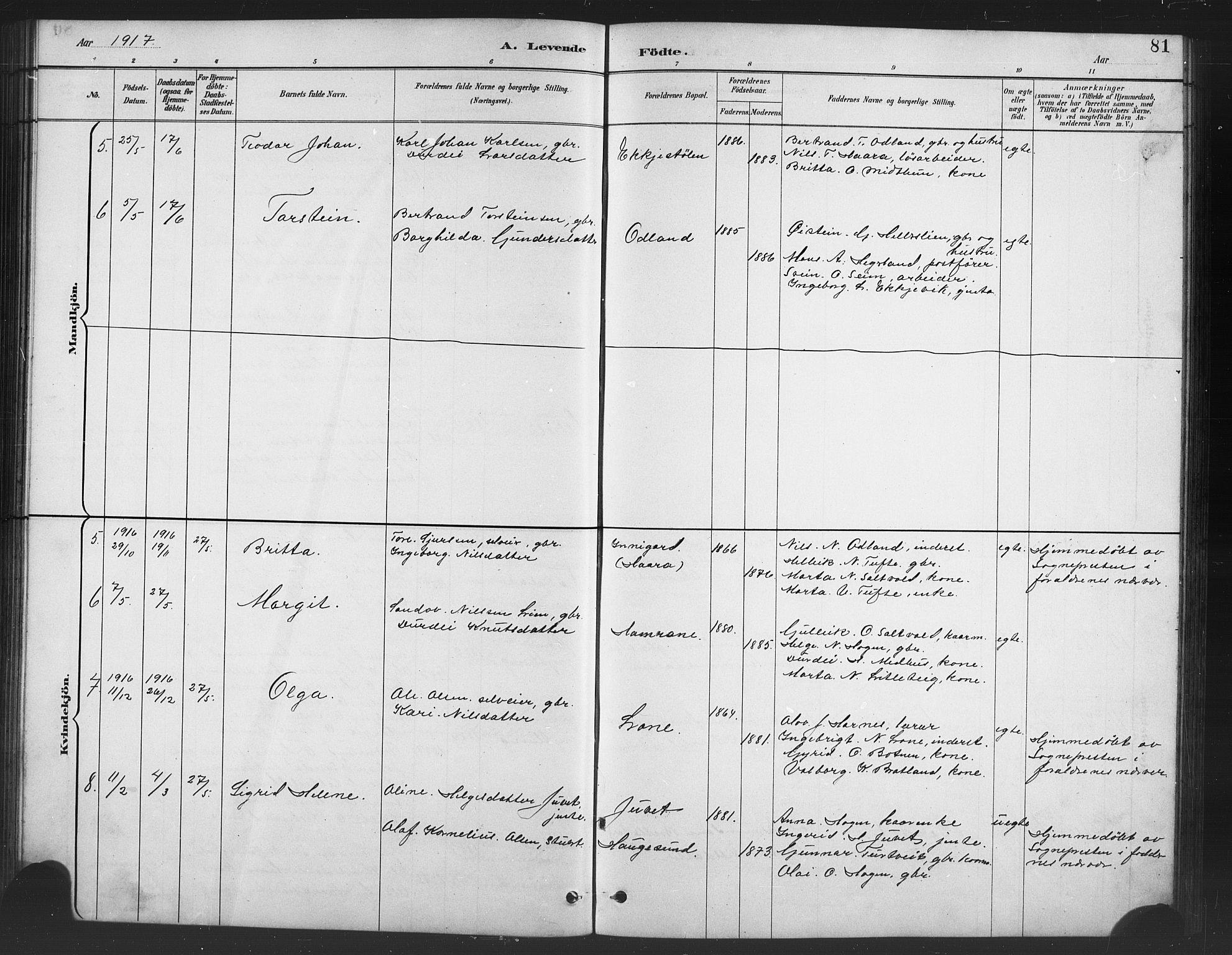 Røldal sokneprestembete, SAB/A-100247: Parish register (copy) no. A 3, 1887-1917, p. 81