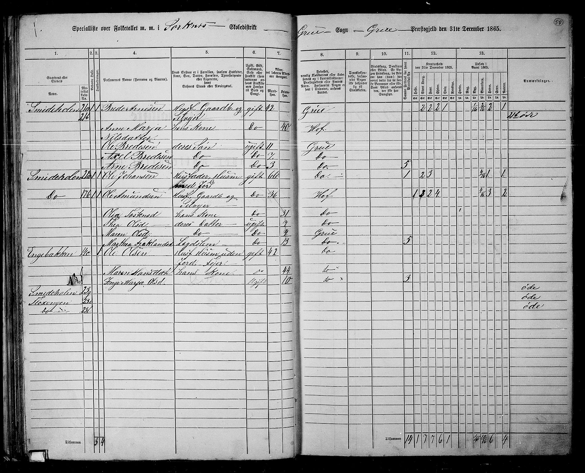 RA, 1865 census for Grue, 1865, p. 54