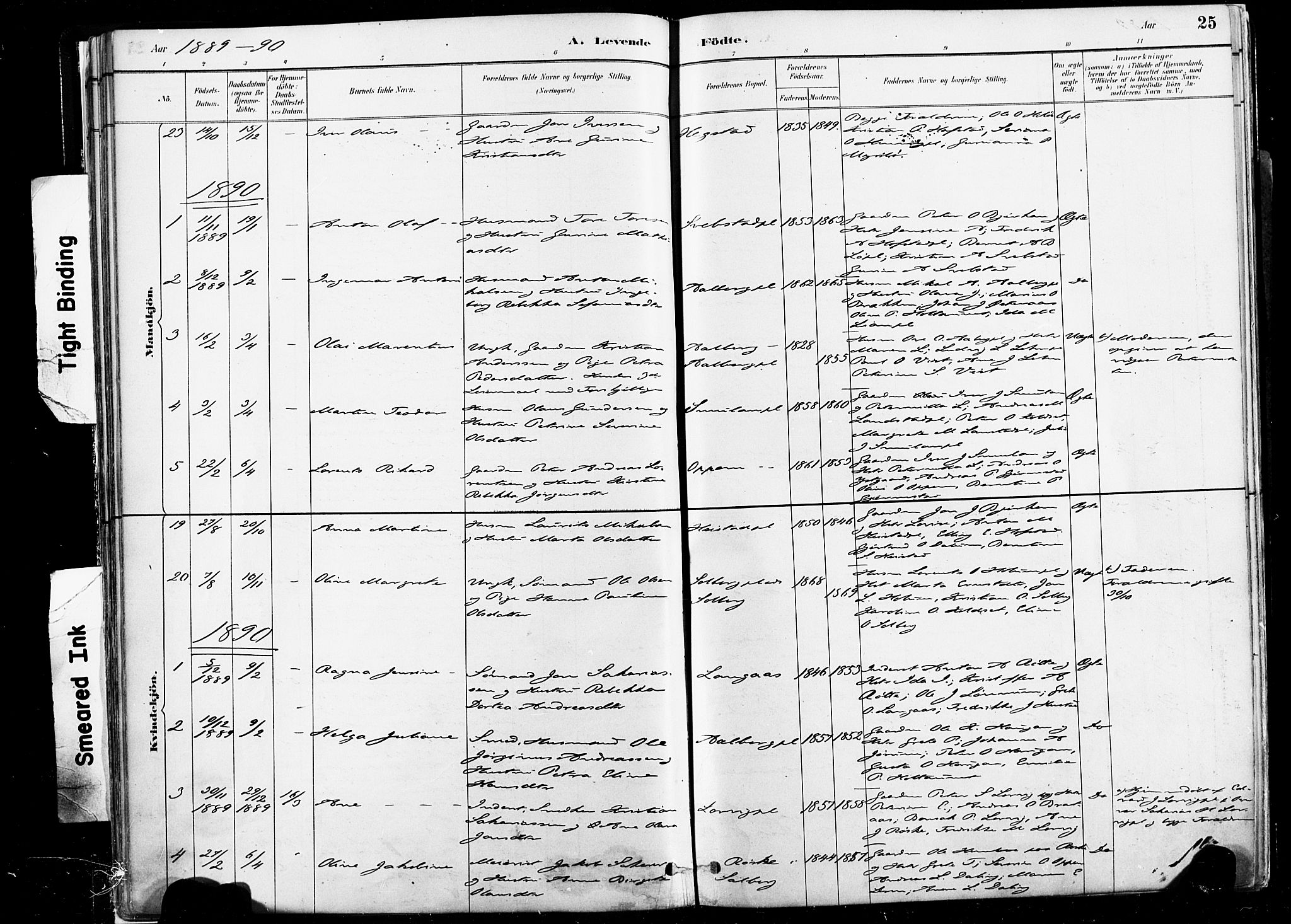 Ministerialprotokoller, klokkerbøker og fødselsregistre - Nord-Trøndelag, SAT/A-1458/735/L0351: Parish register (official) no. 735A10, 1884-1908, p. 25