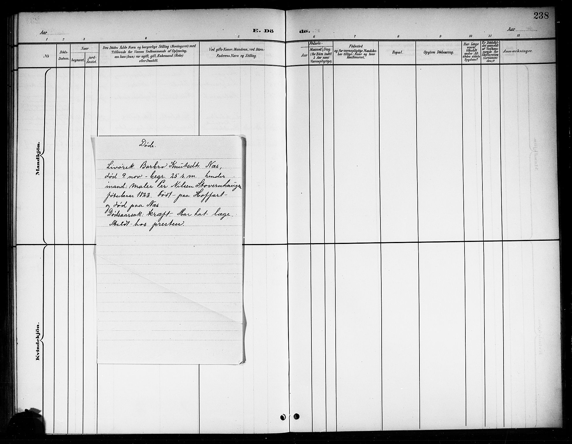 Sigdal kirkebøker, SAKO/A-245/G/Ga/L0006: Parish register (copy) no. I 6, 1901-1916, p. 238