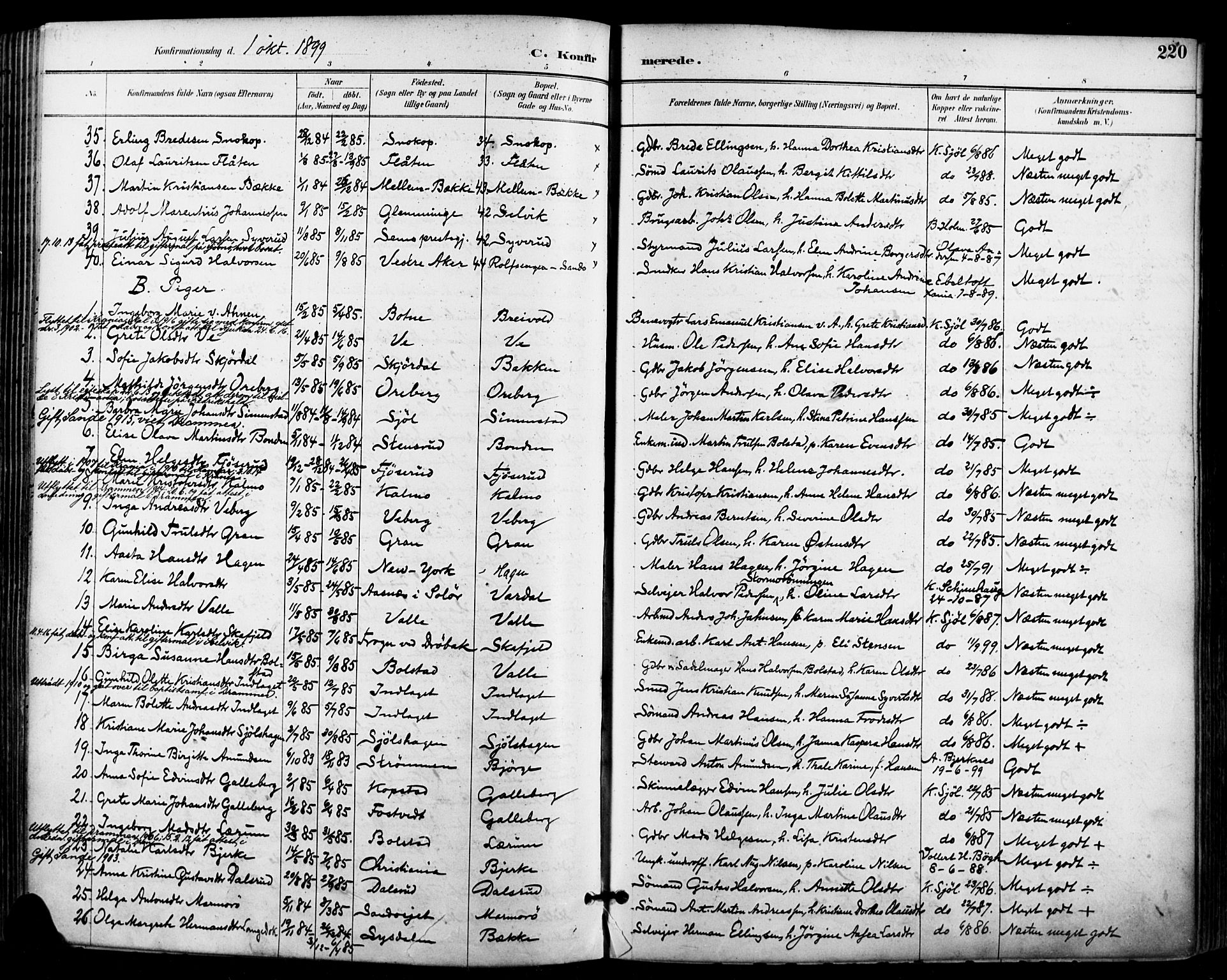 Sande Kirkebøker, AV/SAKO-A-53/F/Fa/L0007: Parish register (official) no. 7, 1888-1903, p. 220