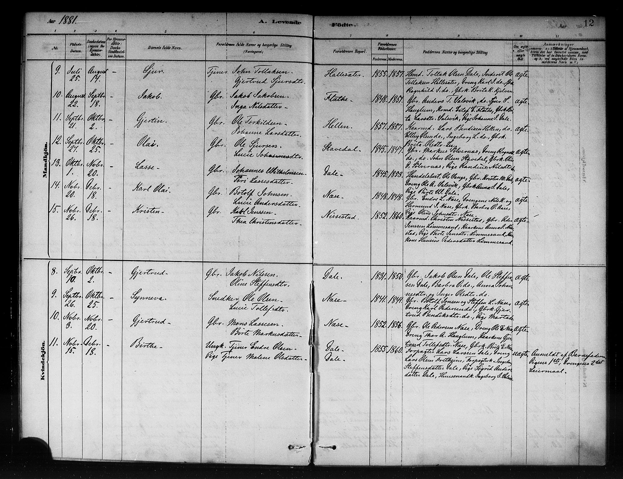 Vik sokneprestembete, AV/SAB-A-81501/H/Haa/Haac/L0001: Parish register (official) no. C 1, 1878-1890, p. 12