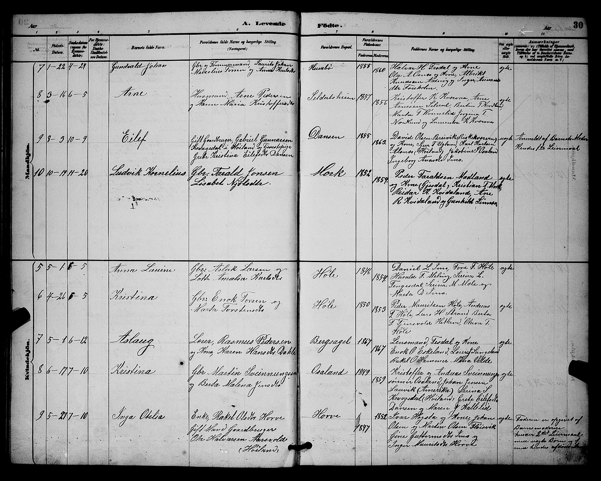 Høgsfjord sokneprestkontor, AV/SAST-A-101624/H/Ha/Hab/L0003: Parish register (copy) no. B 3, 1886-1905, p. 30