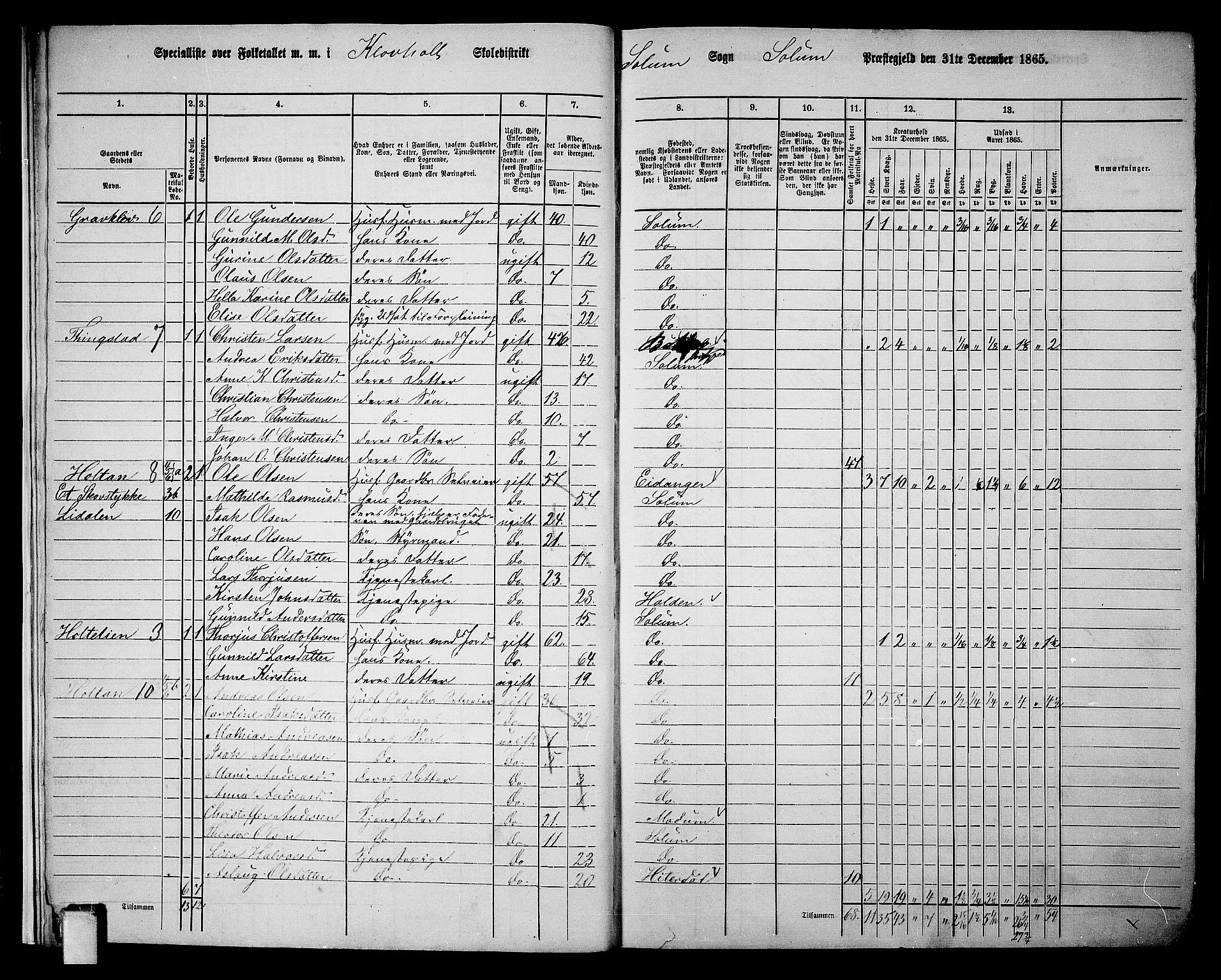 RA, 1865 census for Solum, 1865, p. 18