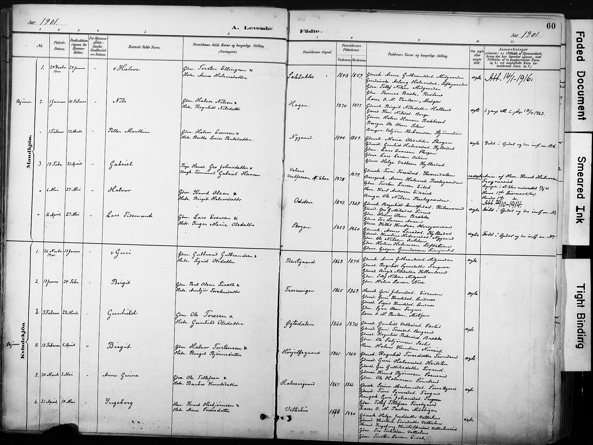 Nore kirkebøker, SAKO/A-238/F/Fb/L0002: Parish register (official) no. II 2, 1886-1906, p. 60