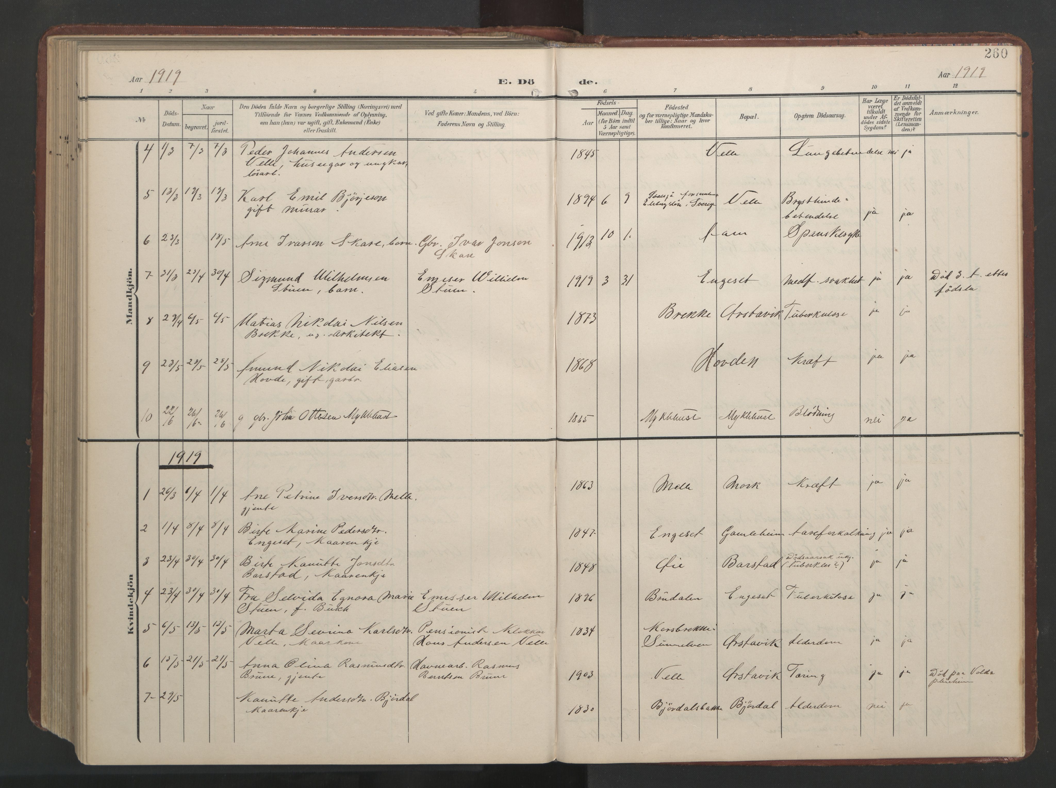 Ministerialprotokoller, klokkerbøker og fødselsregistre - Møre og Romsdal, AV/SAT-A-1454/513/L0190: Parish register (copy) no. 513C04, 1904-1926, p. 260