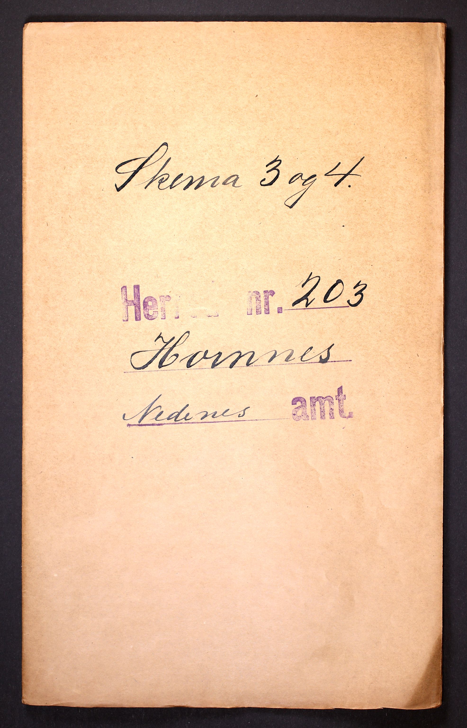 RA, 1910 census for Hornnes, 1910, p. 1
