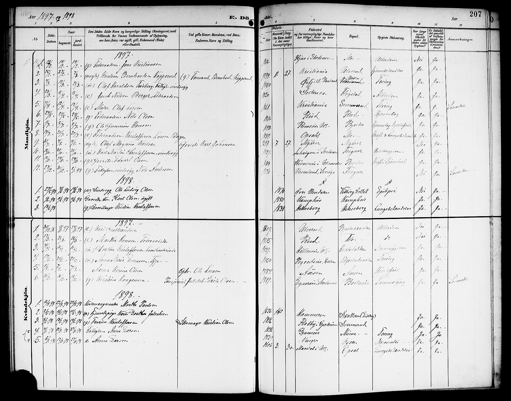 Sørum prestekontor Kirkebøker, SAO/A-10303/G/Ga/L0006: Parish register (copy) no. I 6, 1894-1906, p. 207
