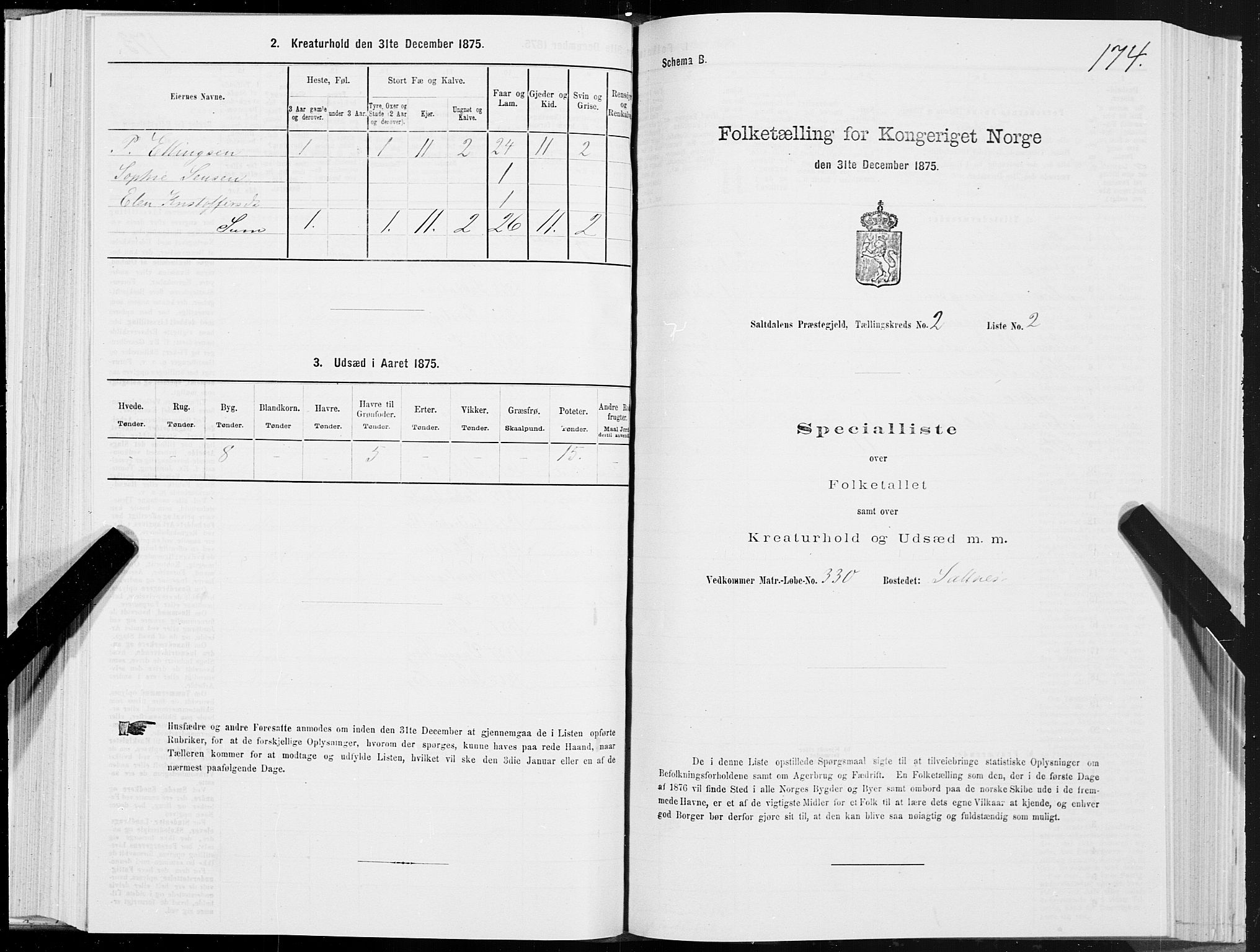 SAT, 1875 census for 1840P Saltdal, 1875, p. 1174