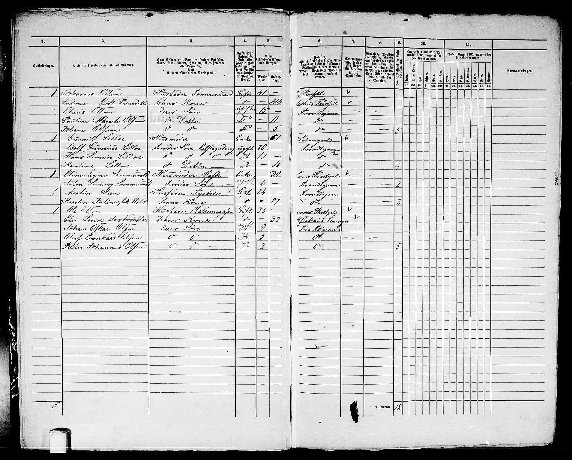 RA, 1865 census for Trondheim, 1865, p. 2088