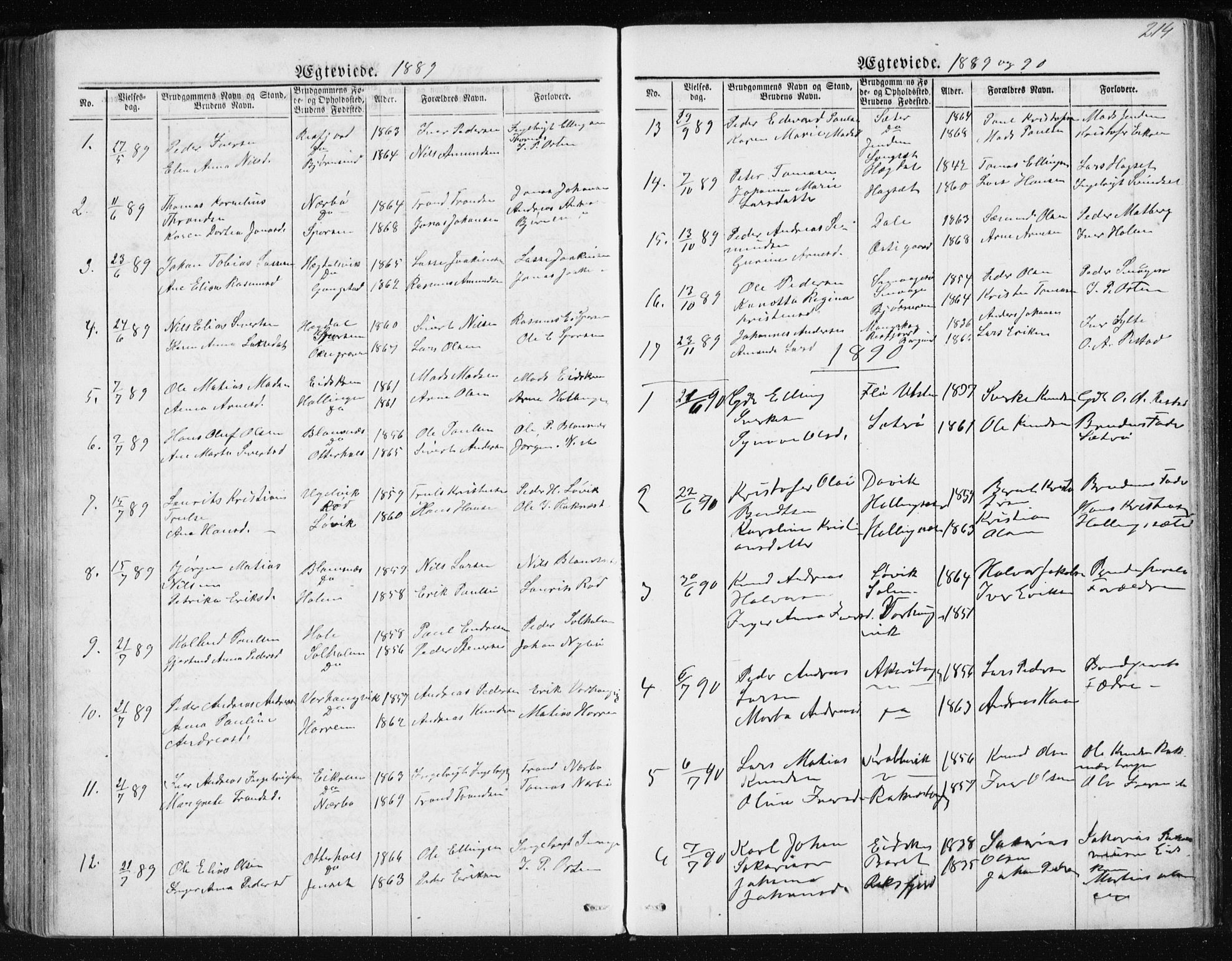 Ministerialprotokoller, klokkerbøker og fødselsregistre - Møre og Romsdal, SAT/A-1454/560/L0724: Parish register (copy) no. 560C01, 1867-1892, p. 214
