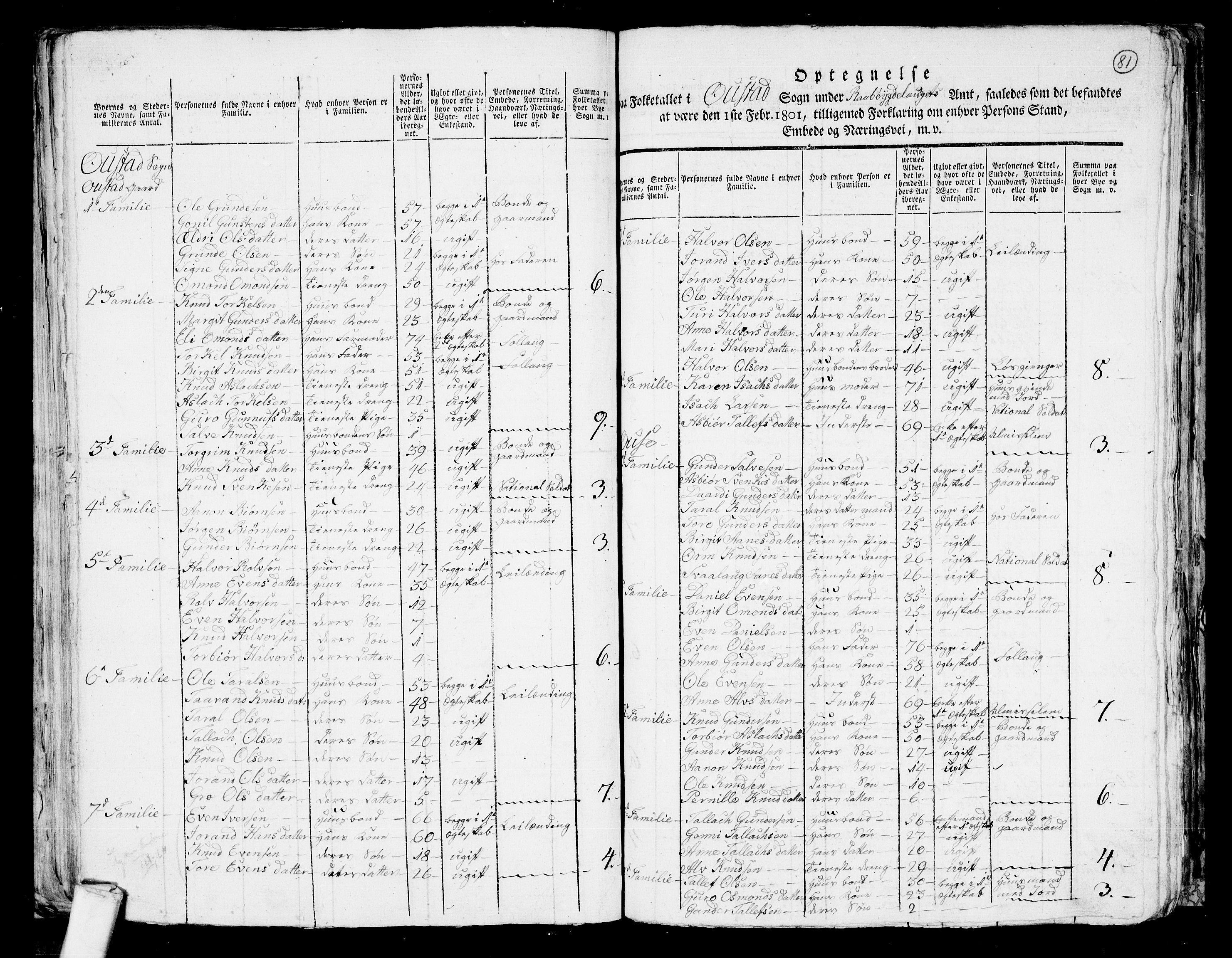 RA, 1801 census for 0938P Bygland, 1801, p. 80b-81a