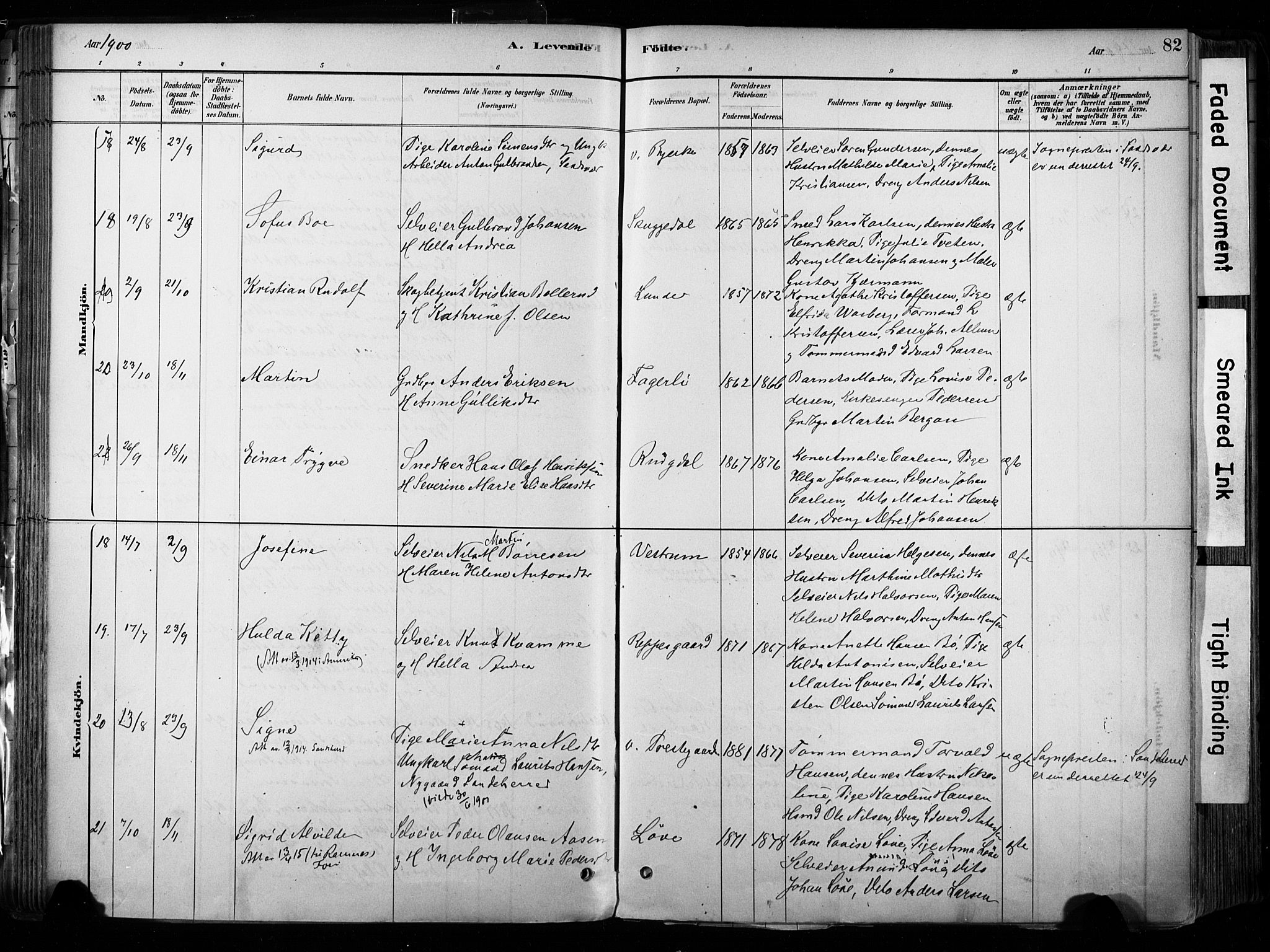 Hedrum kirkebøker, AV/SAKO-A-344/F/Fa/L0009: Parish register (official) no. I 9, 1881-1903, p. 82