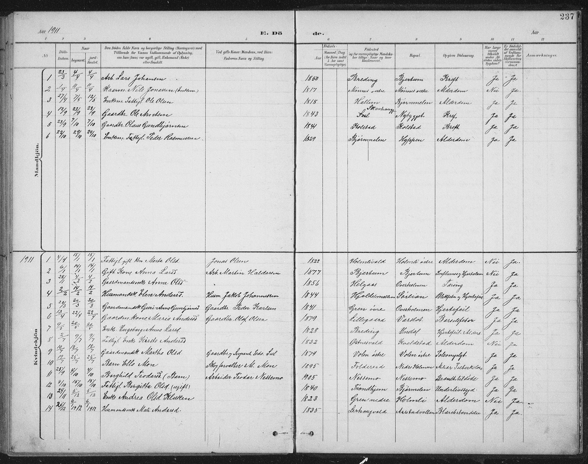 Ministerialprotokoller, klokkerbøker og fødselsregistre - Nord-Trøndelag, AV/SAT-A-1458/724/L0269: Parish register (copy) no. 724C05, 1899-1920, p. 237