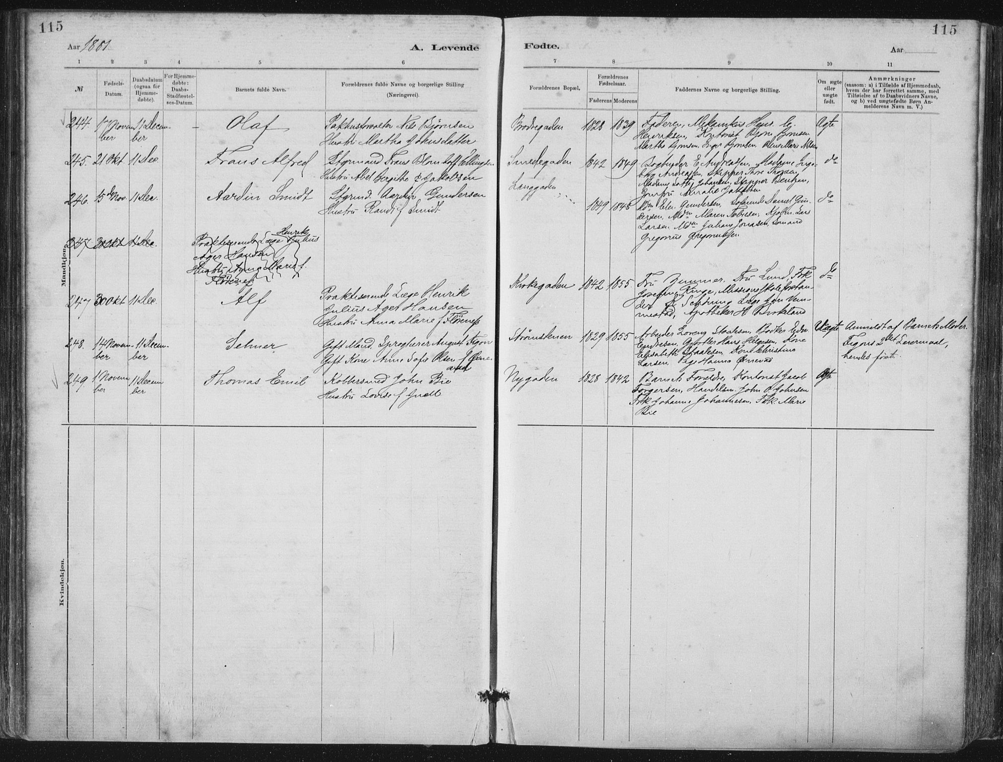 St. Petri sokneprestkontor, AV/SAST-A-101813/001/30/30BA/L0015: Parish register (official) no. A 15, 1879-1888, p. 115