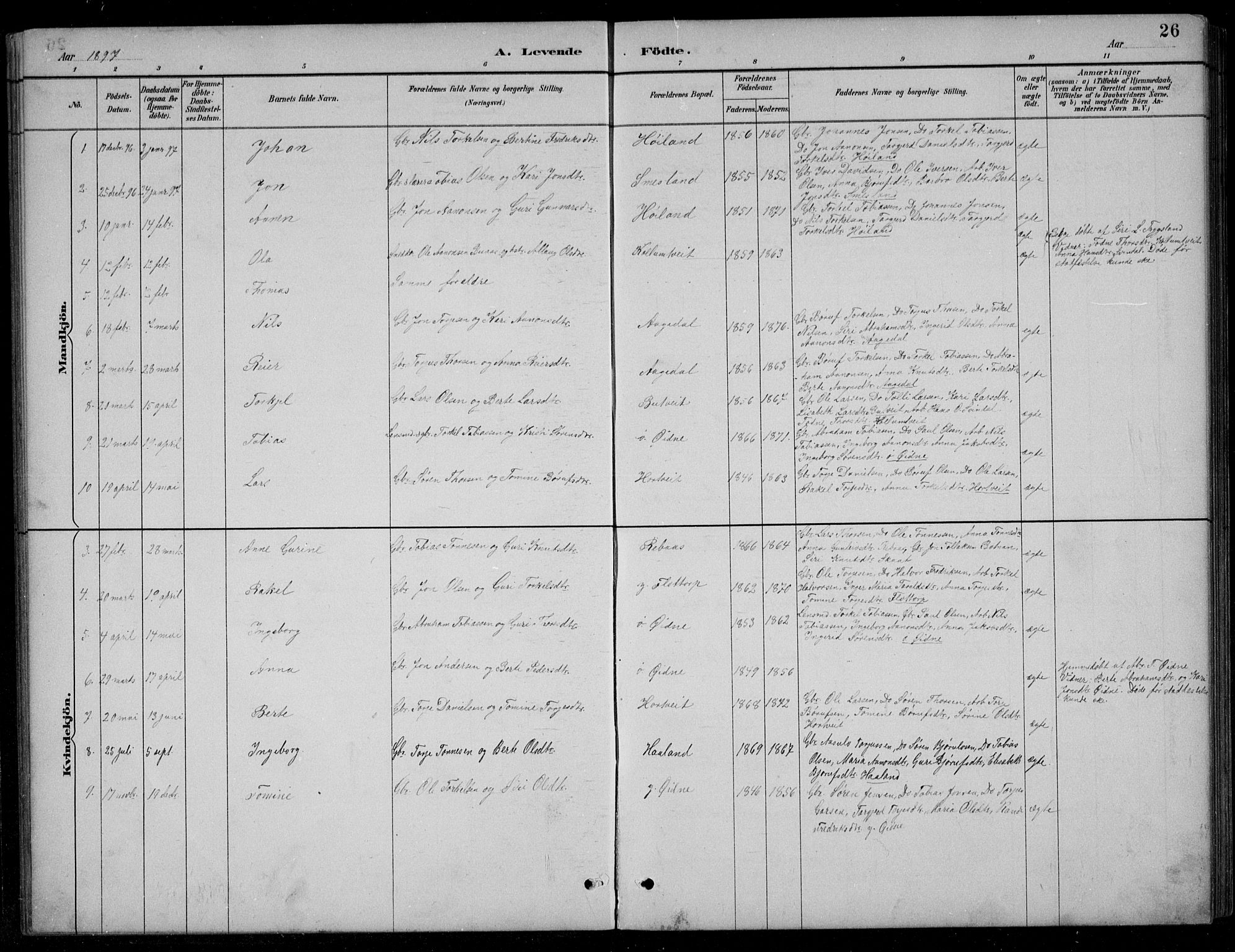 Bjelland sokneprestkontor, SAK/1111-0005/F/Fb/Fbc/L0003: Parish register (copy) no. B 3, 1887-1924, p. 26