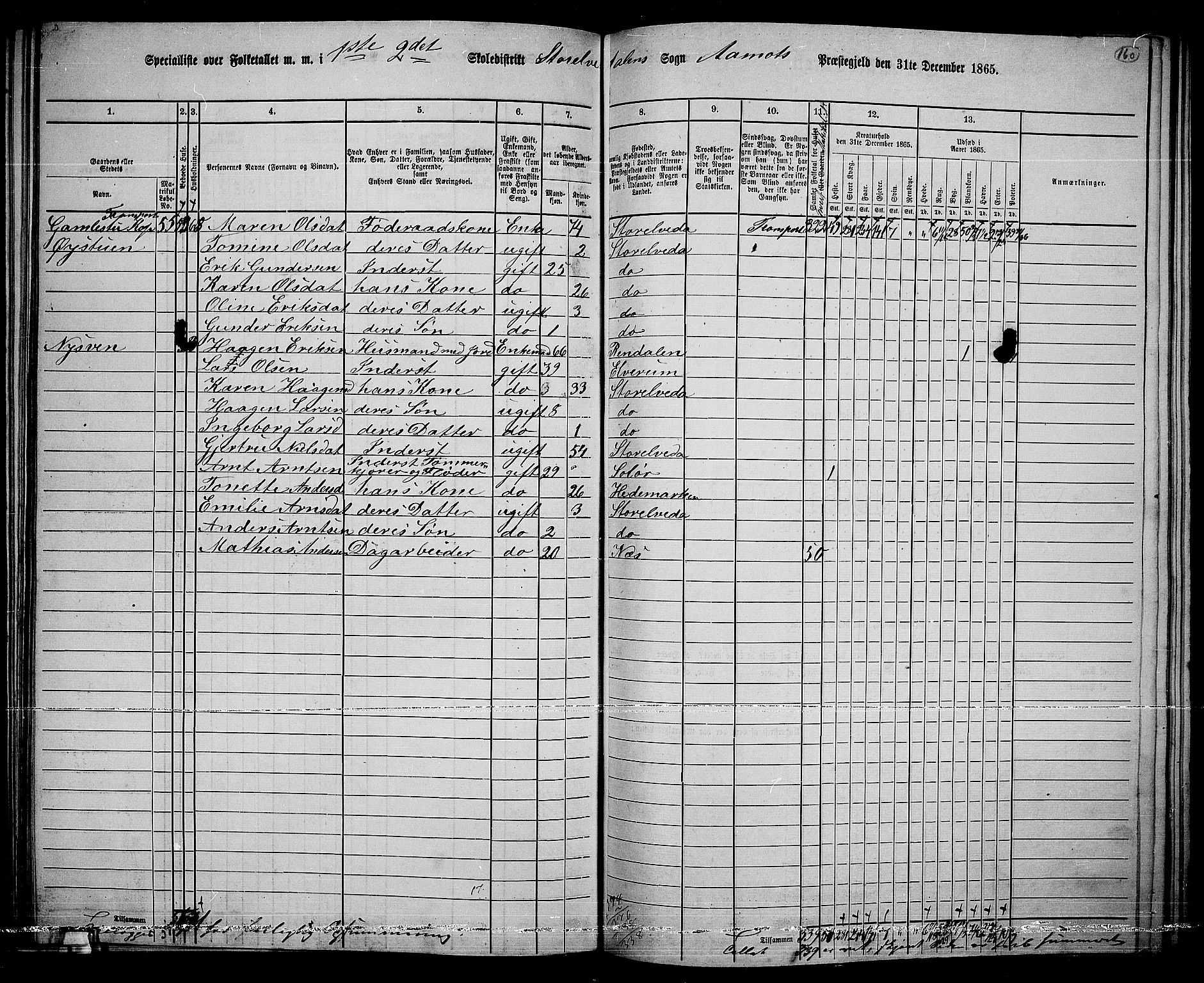 RA, 1865 census for Åmot, 1865, p. 139