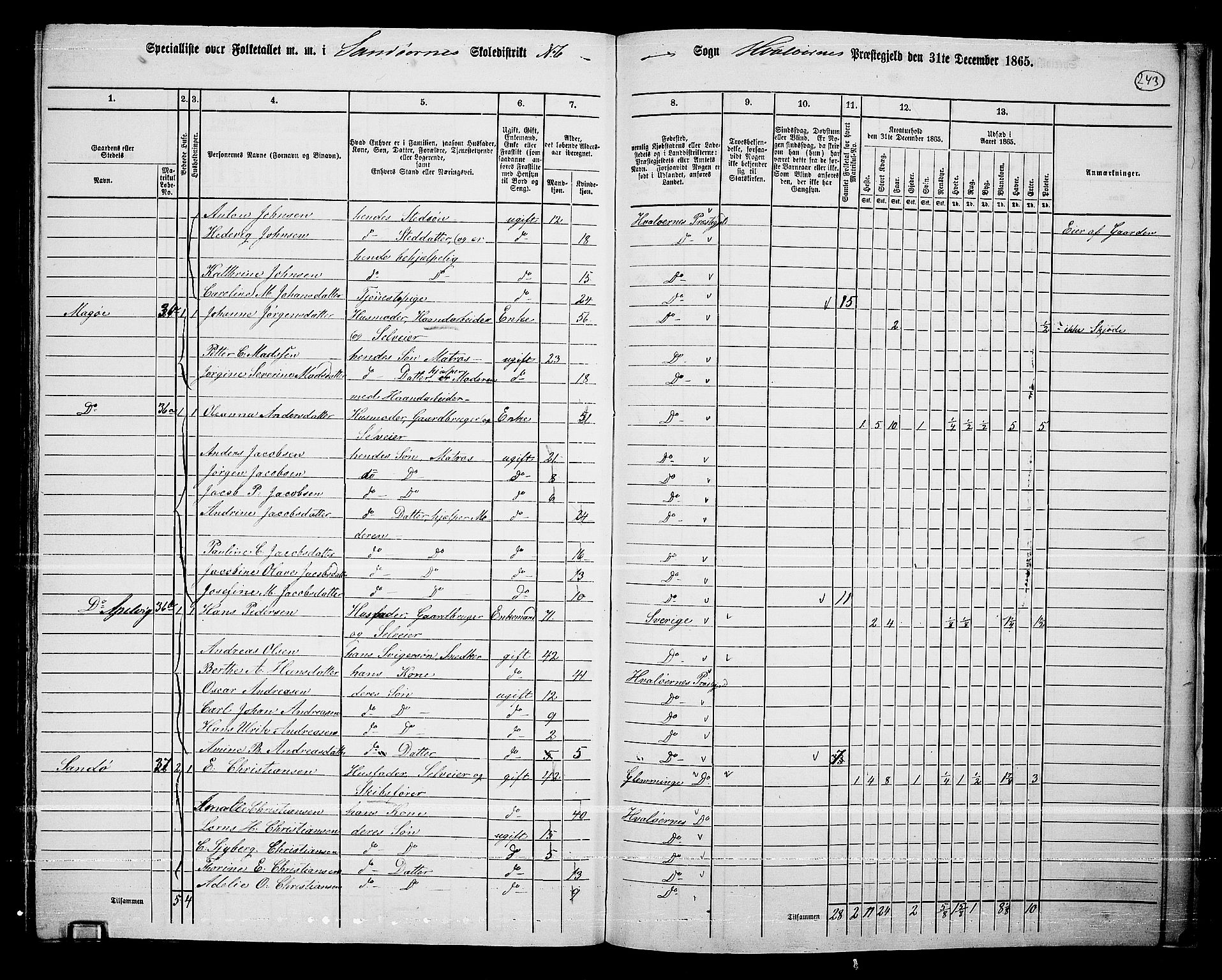 RA, 1865 census for Hvaler, 1865, p. 77