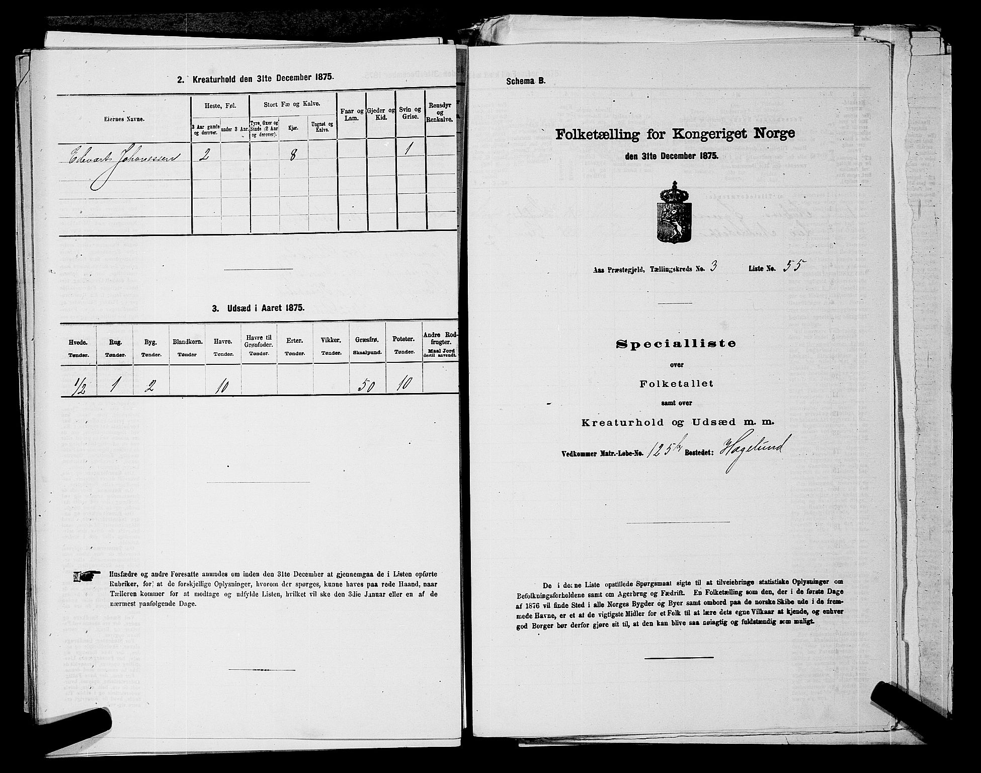 RA, 1875 census for 0214P Ås, 1875, p. 496